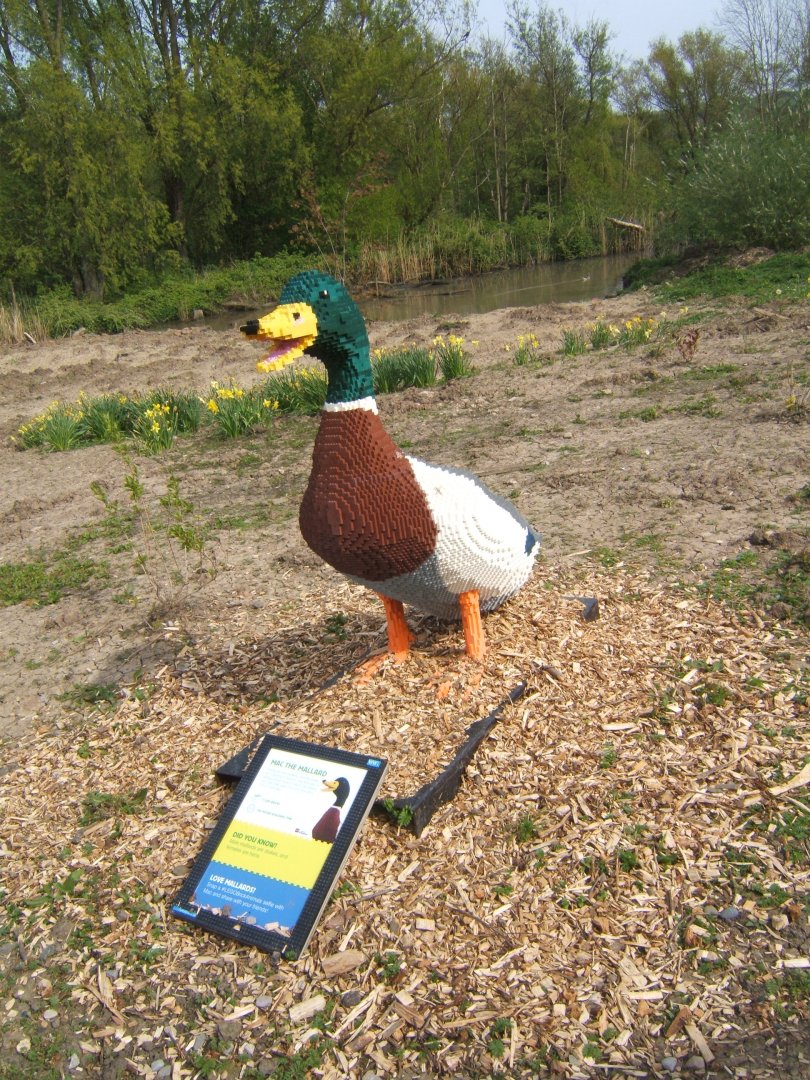 30/4/2017 Lego Mallard