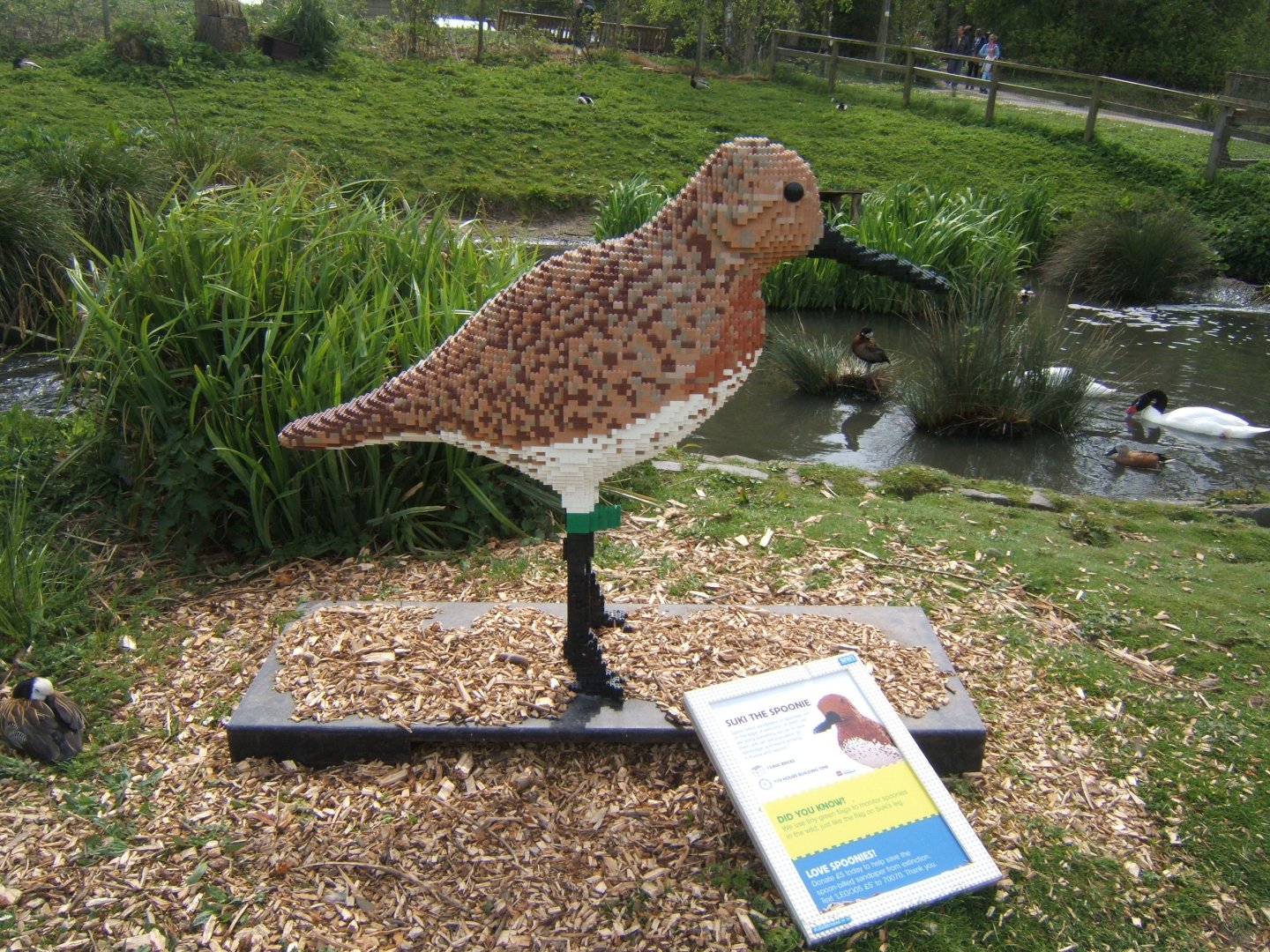 30/4/2017 Lego Spoon-billed Sandpiper