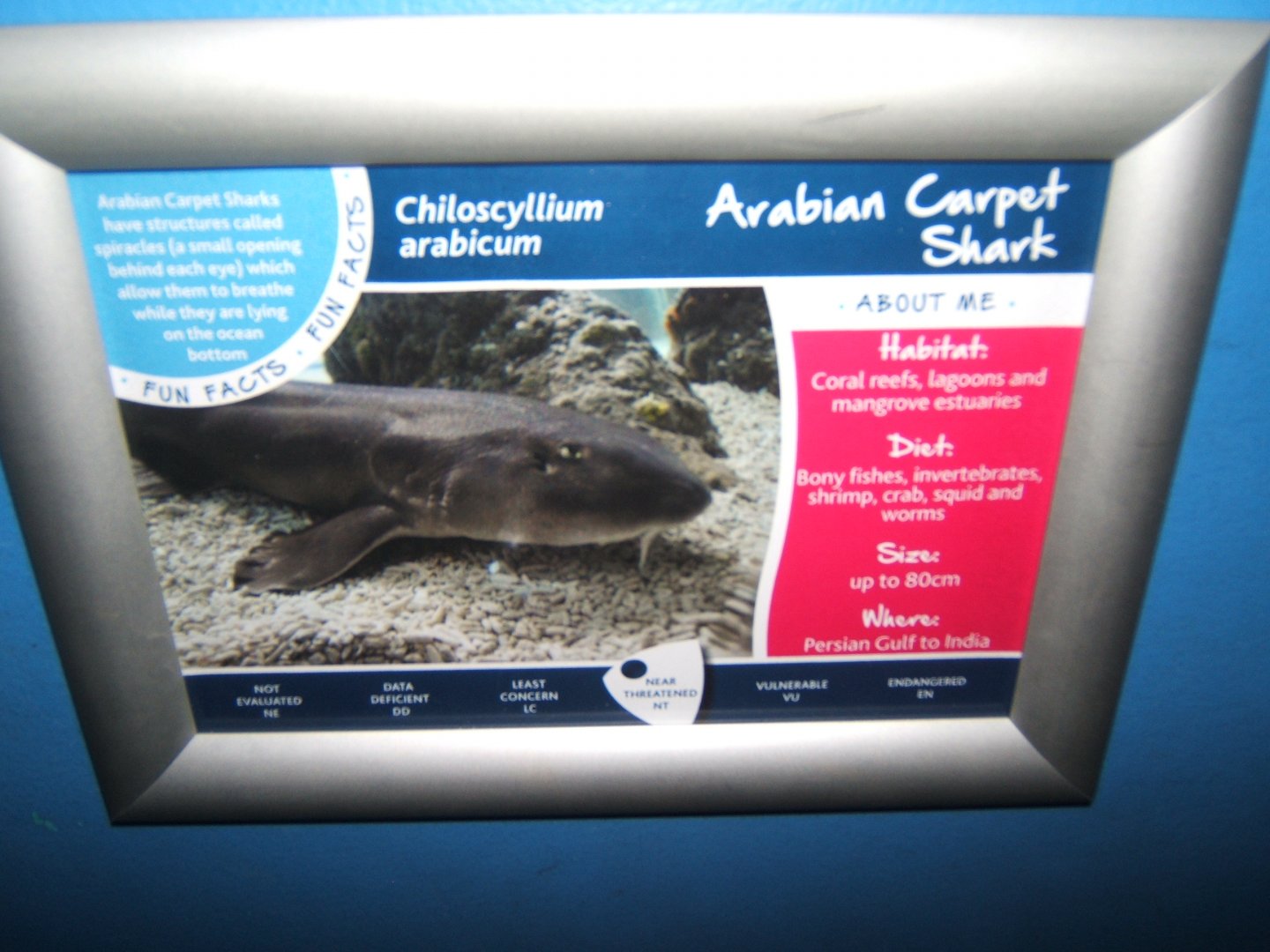 30/4/2017 Signage style