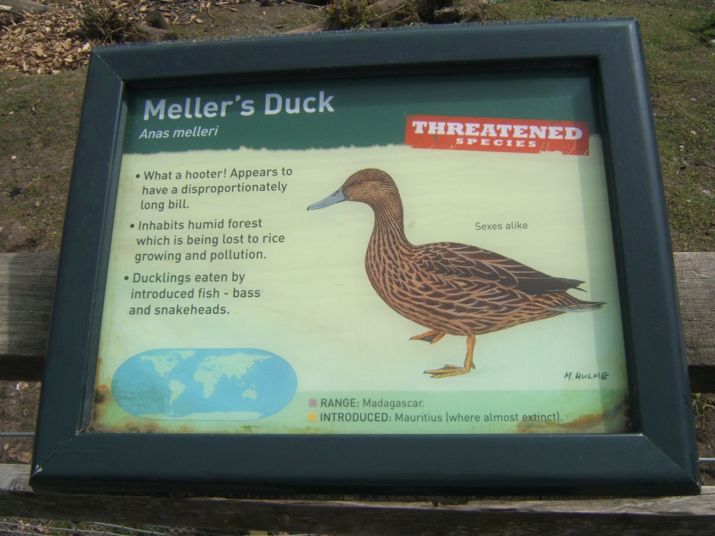 30/4/2017 Signage style