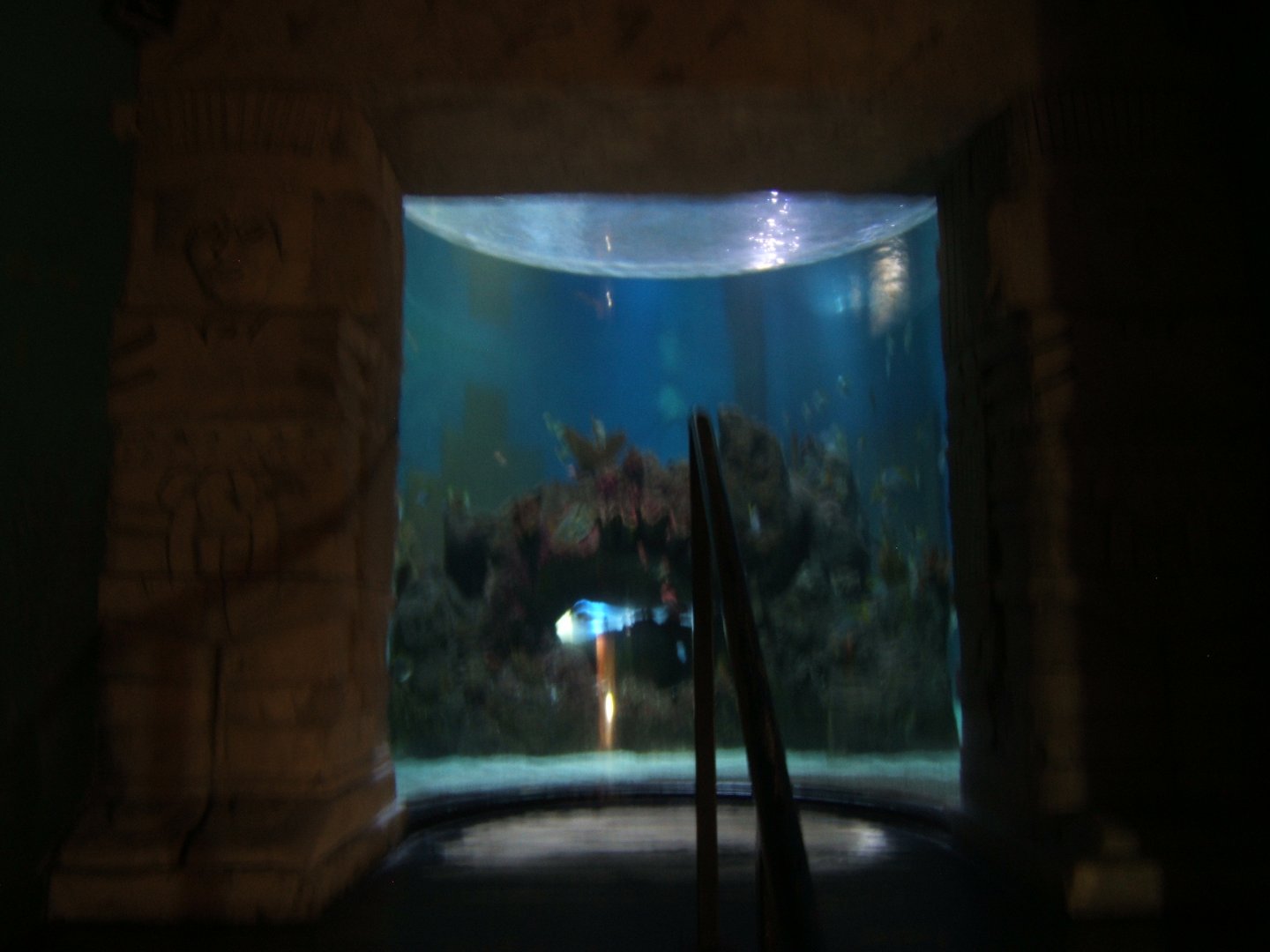 30/4/2017 View of main tank