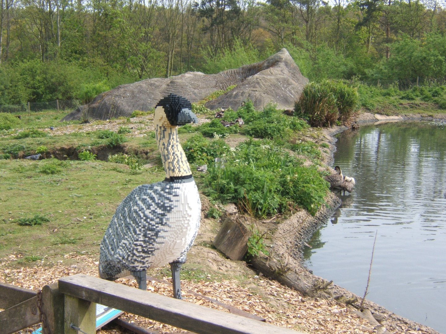 30/4/2017 View of Nene