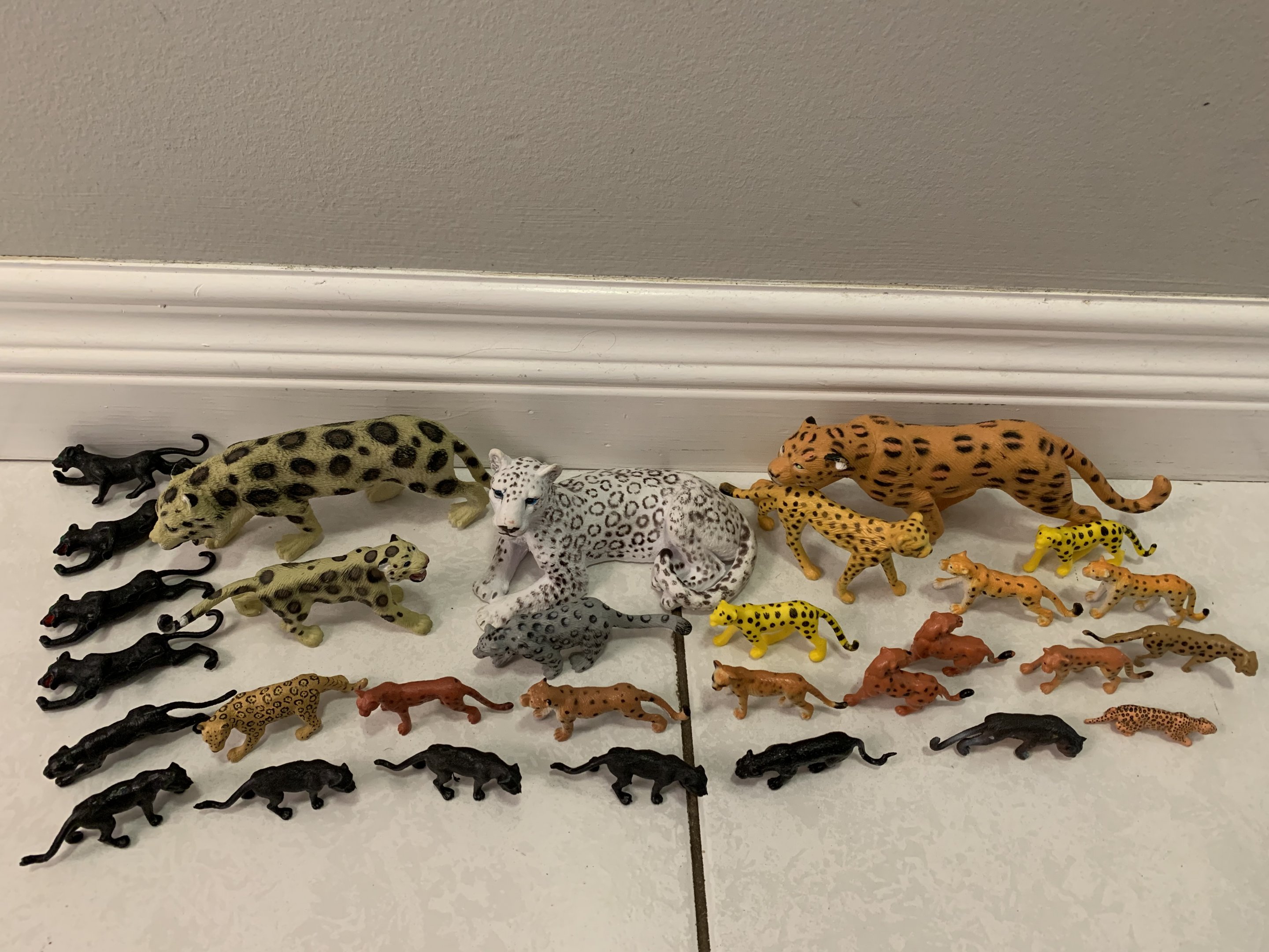 30 Spotted Cats