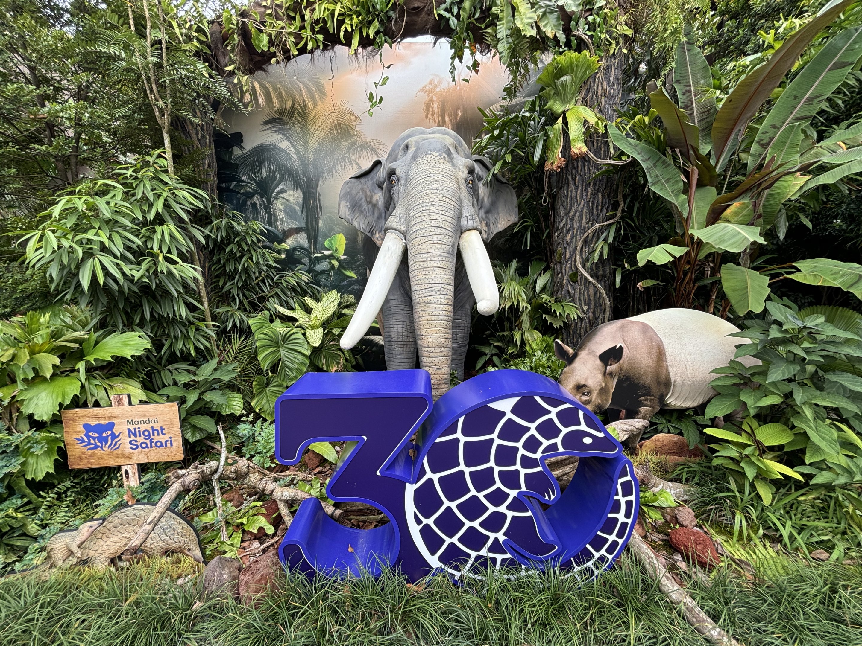 30 Year Anniversary Display