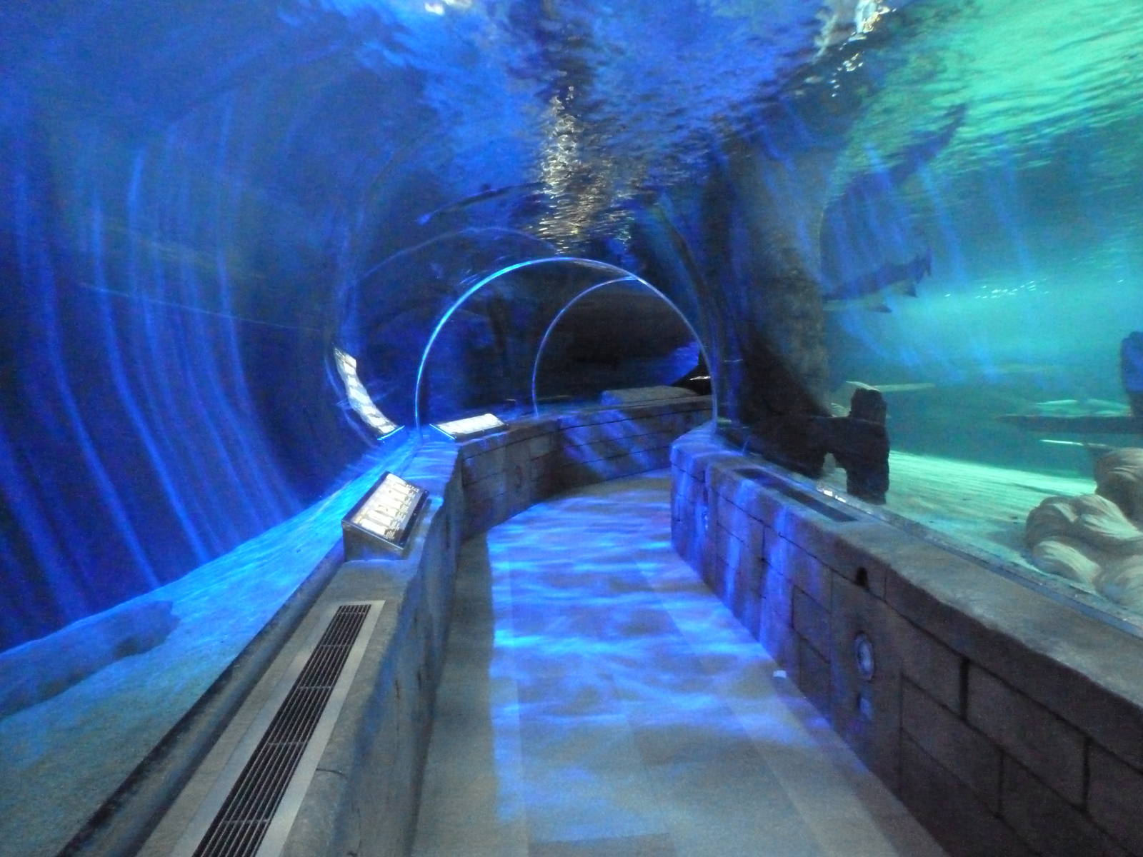 300-Foot Ocean Tunnel Tank