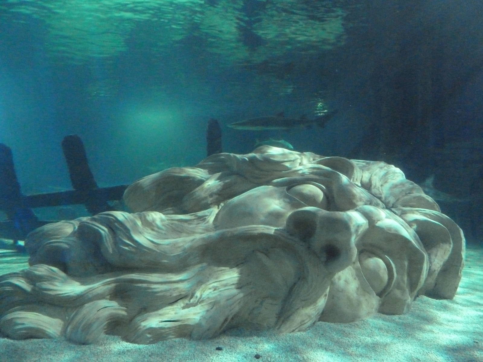 300-Foot Ocean Tunnel Tank