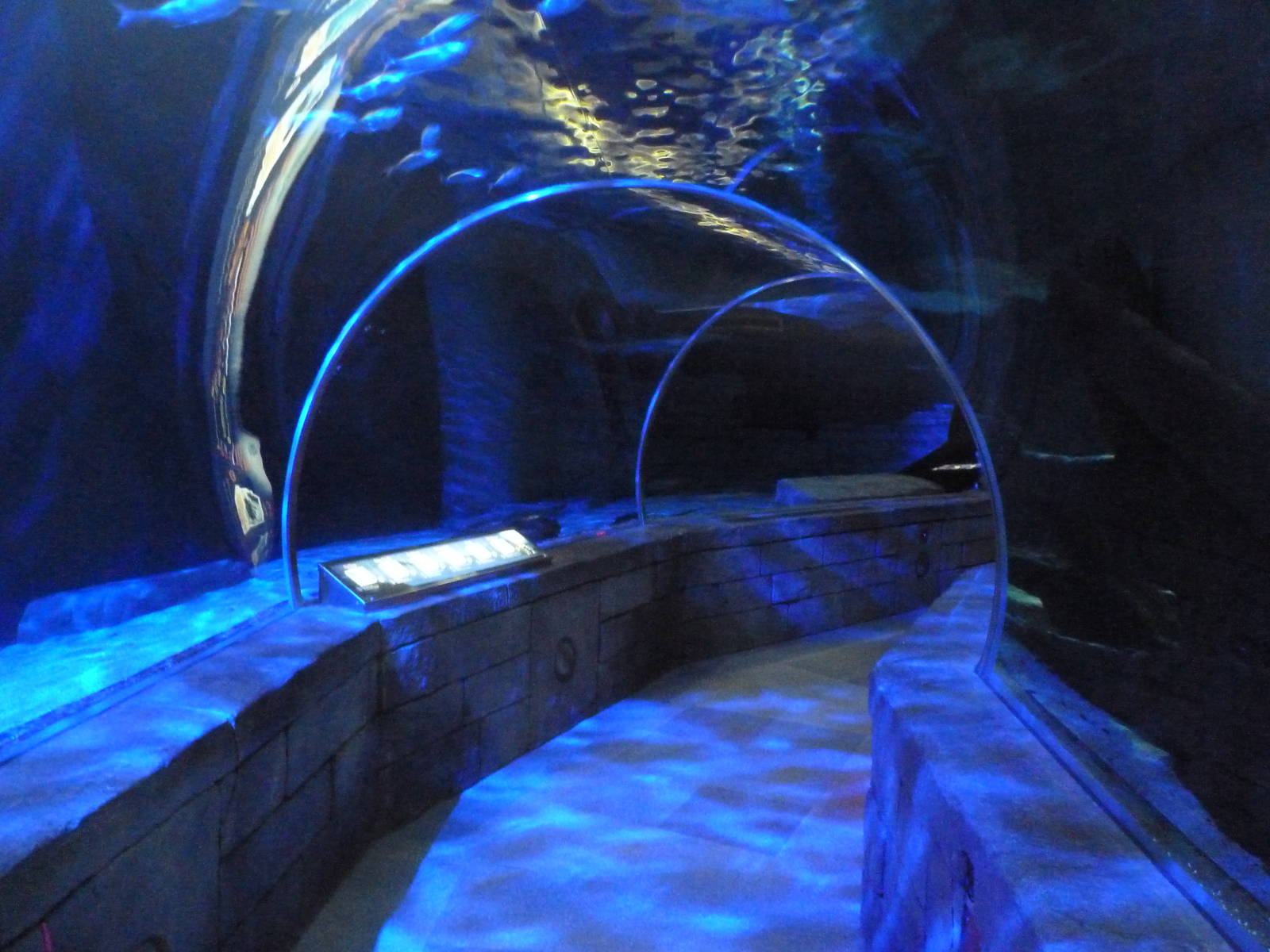 300-Foot Ocean Tunnel Tank