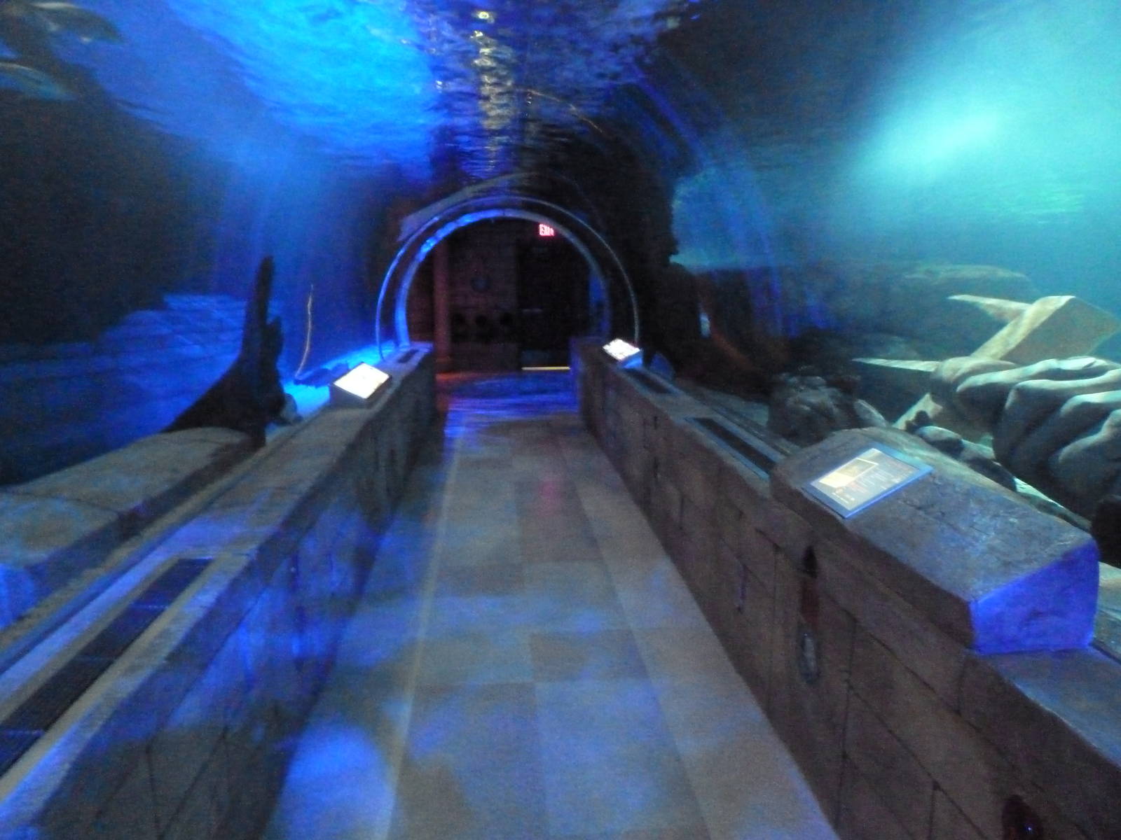 300-Foot Ocean Tunnel Tank