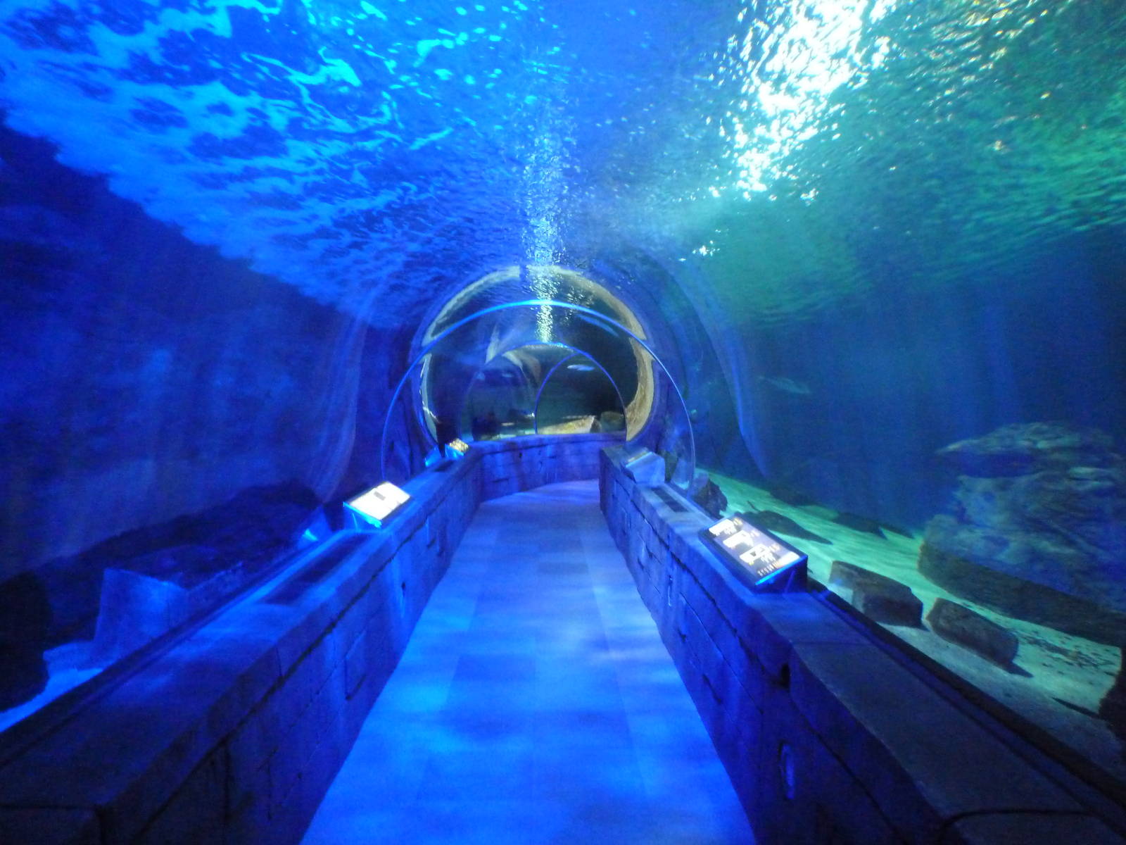 300-Foot Ocean Tunnel Tank