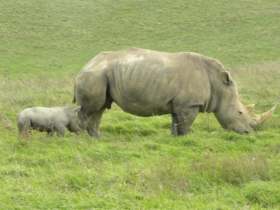 308766 615434113637 69602020 33168208 1768569008 n