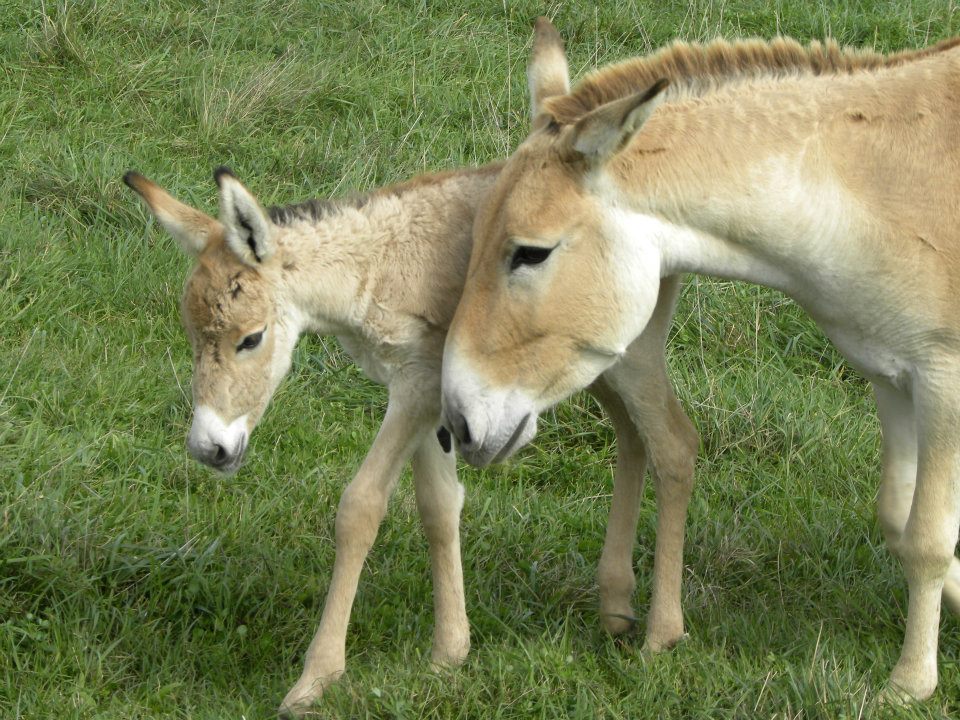 313790 615433245377 69602020 33168178 420680004 n