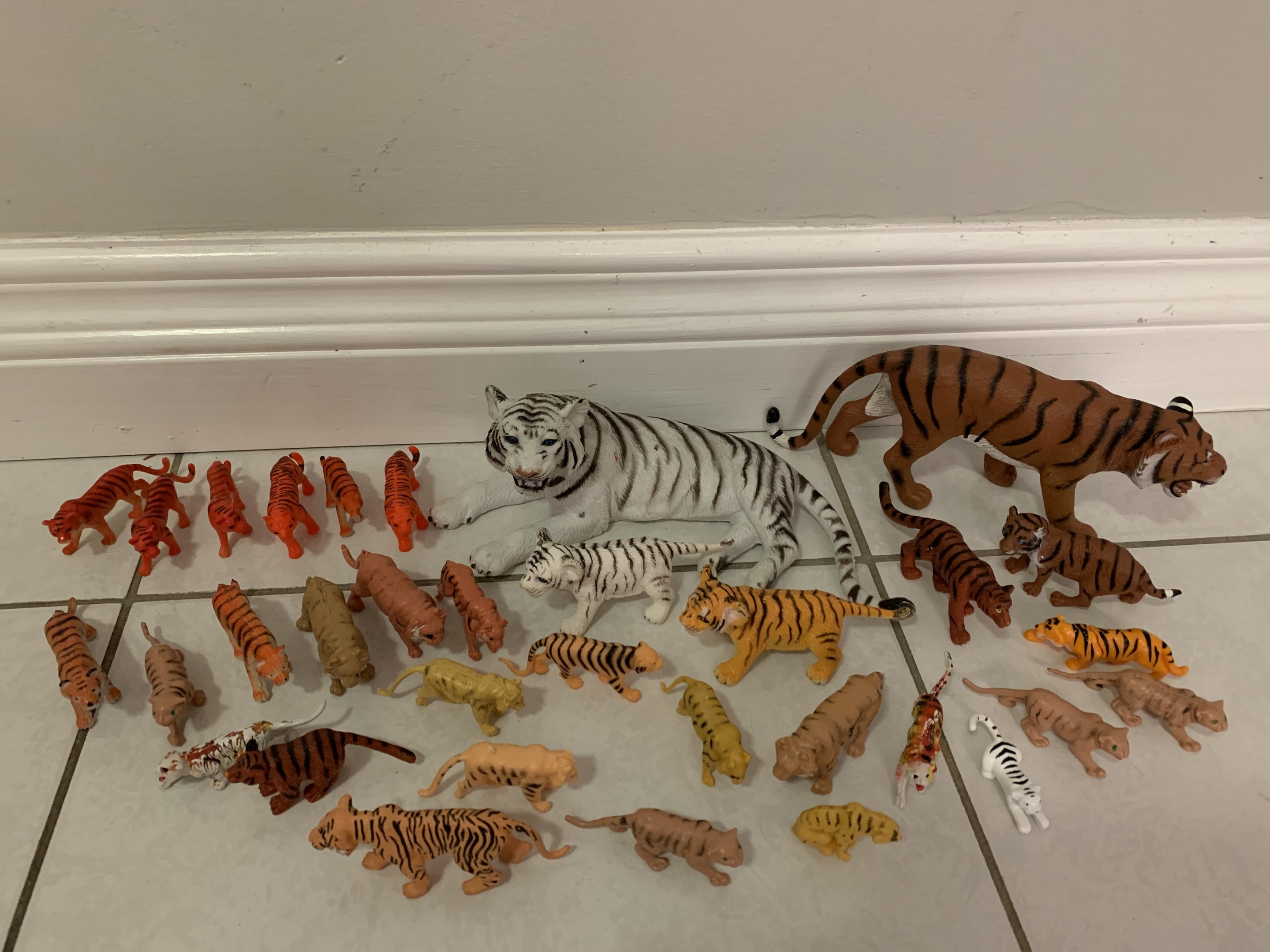 33 Tigers