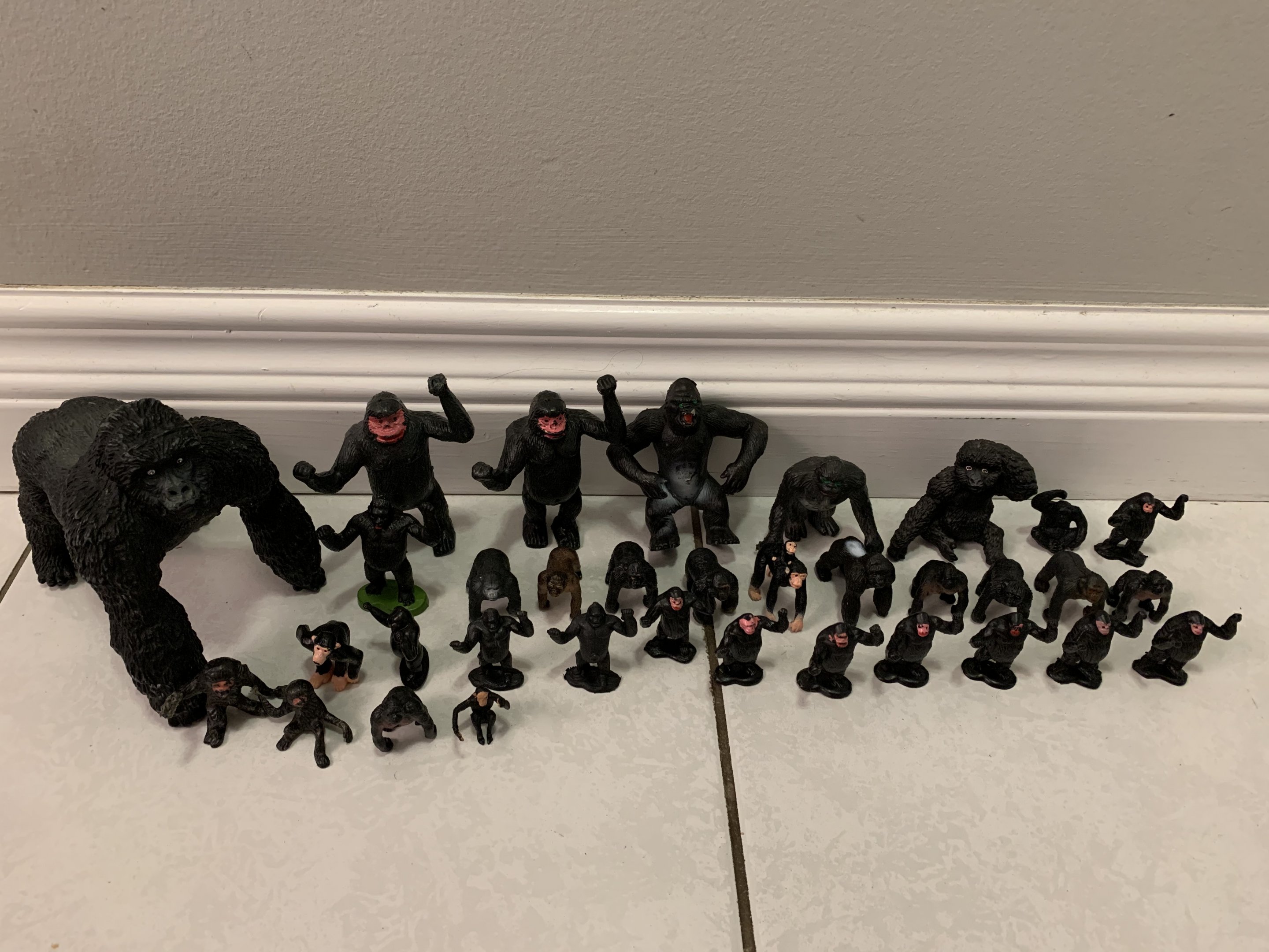 34 Gorillas and Chimpanzees