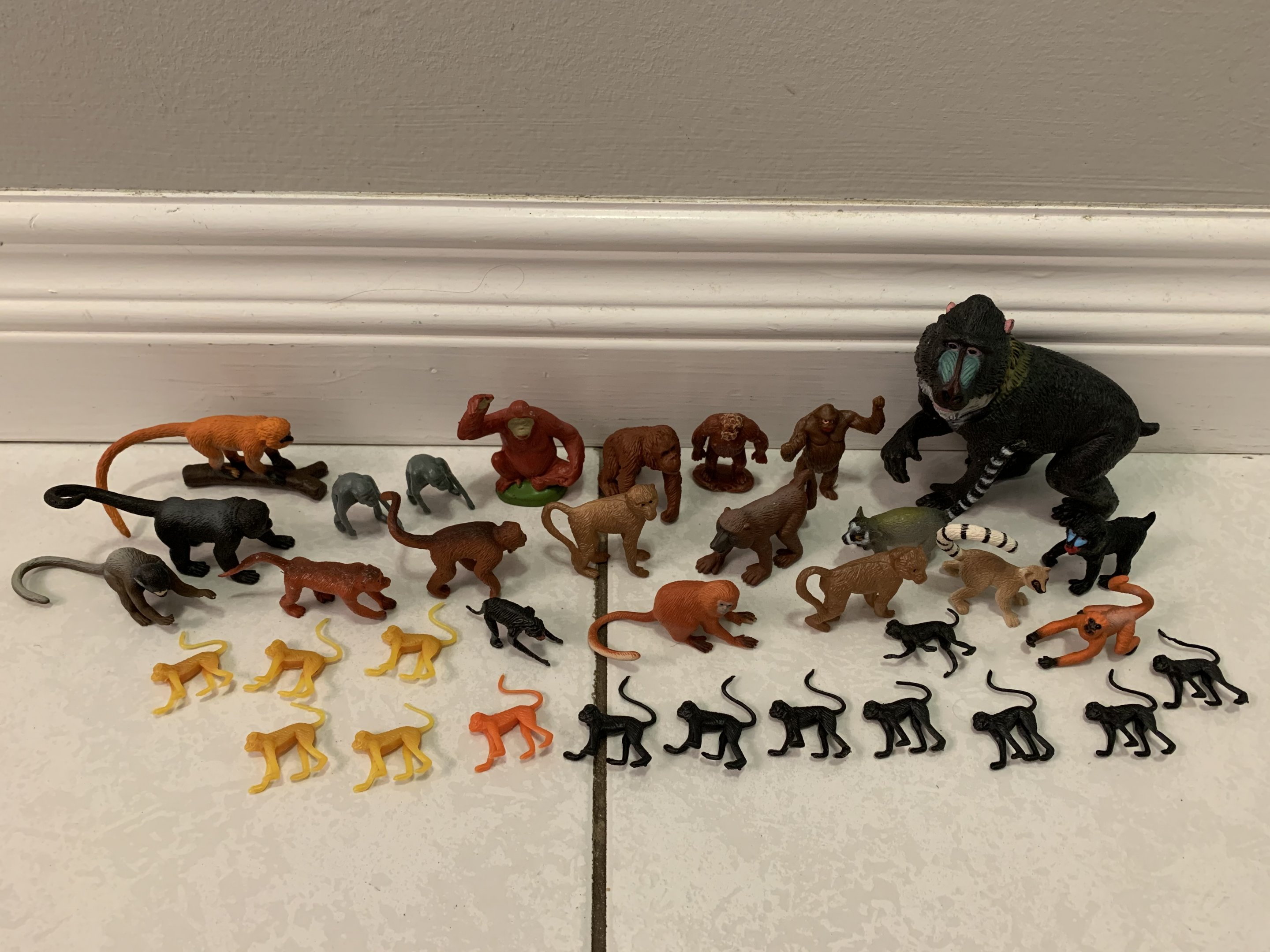 35 Assorted Primates