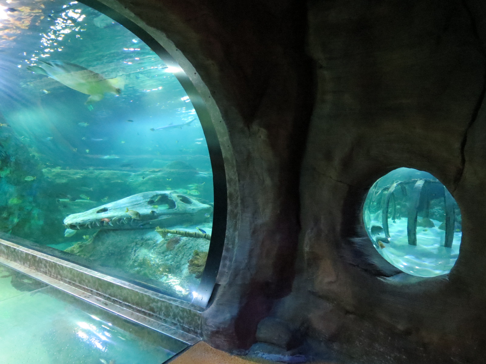 360-degree Ocean Tunnel - First Tunnel and Bubble Window