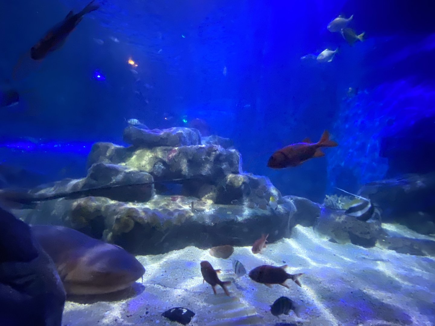 360 Tunnel view 070123