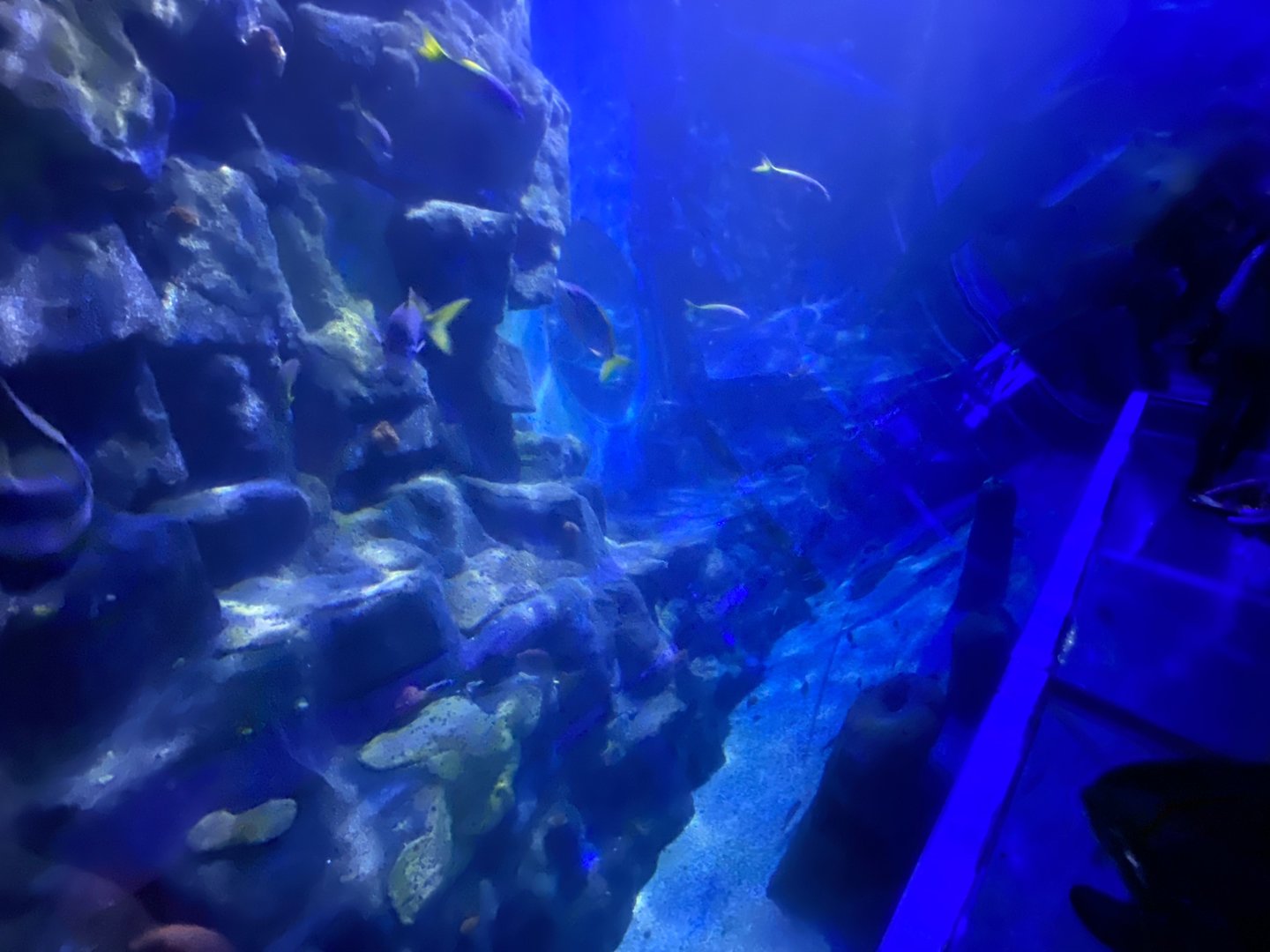 360 Tunnel view 070123