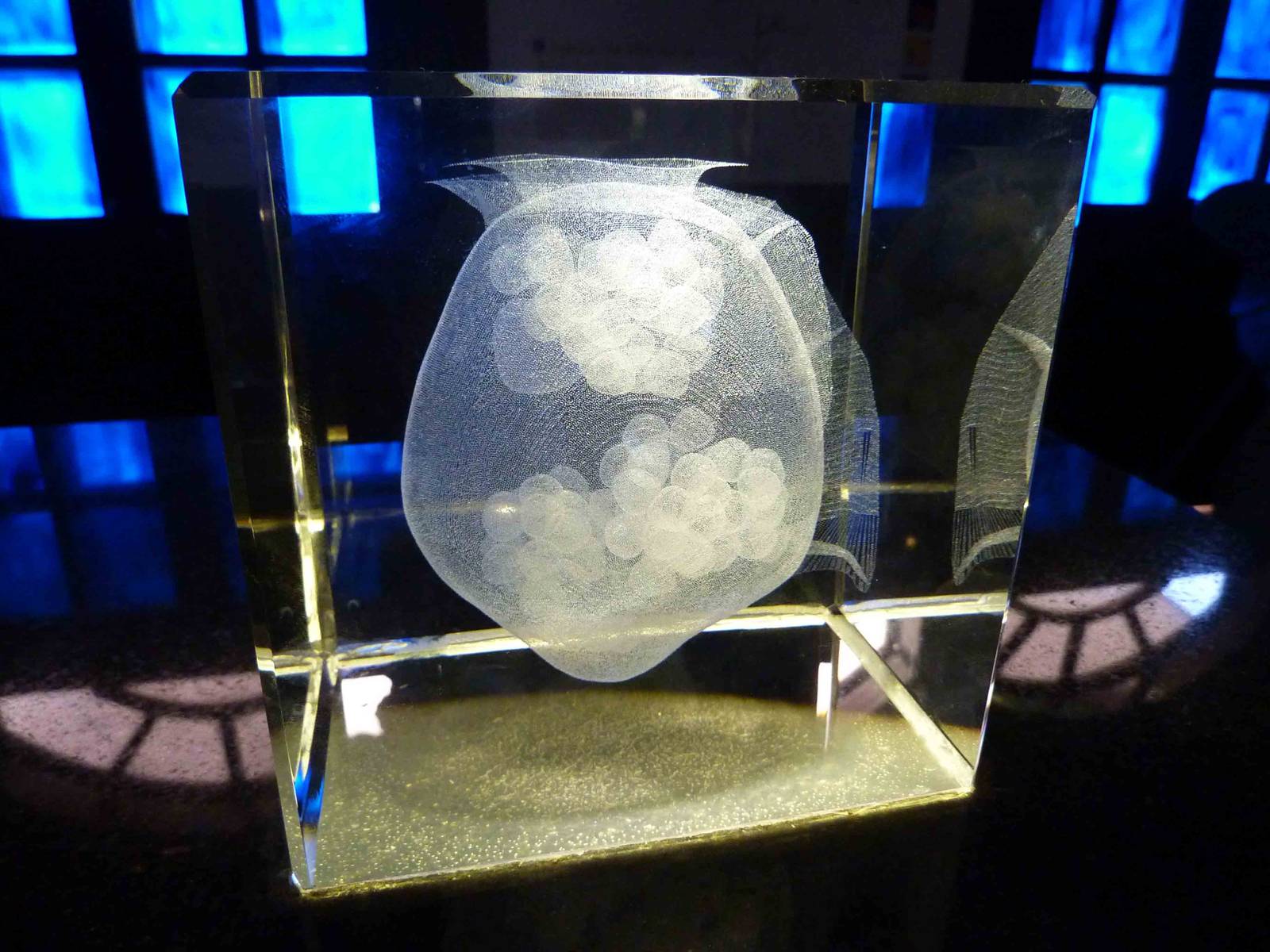 3D laser plankton engraving, May 2013.