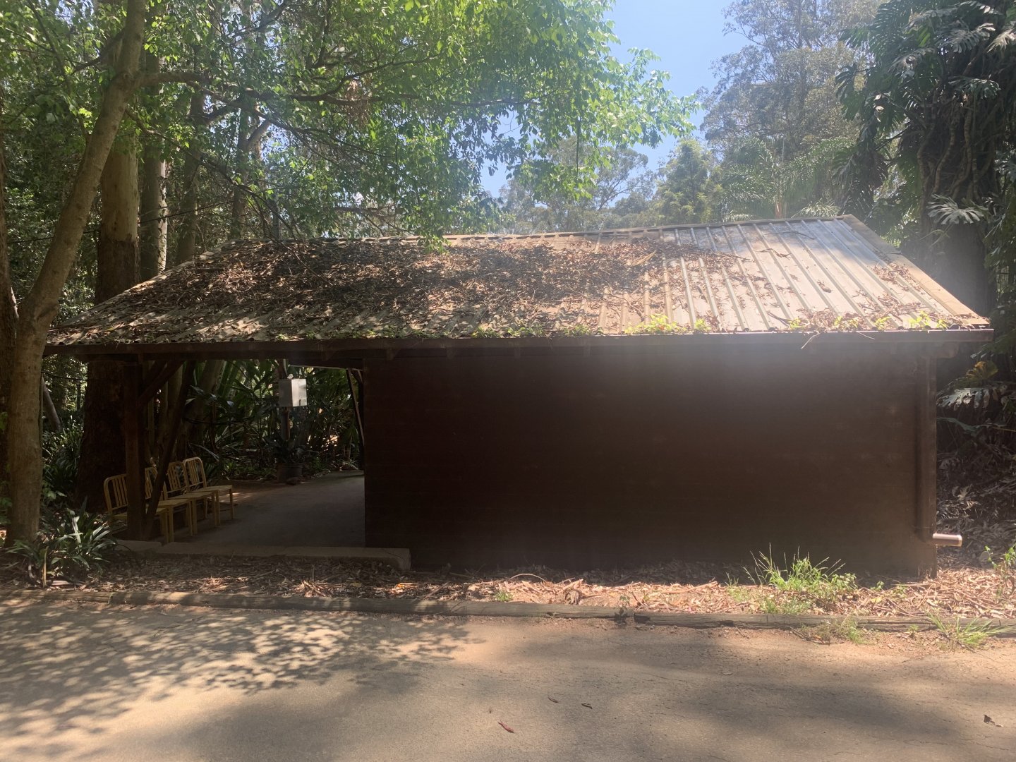 3rd (and 4th) Koala exhibits (think the least good ones, indoor ones that are quite small)