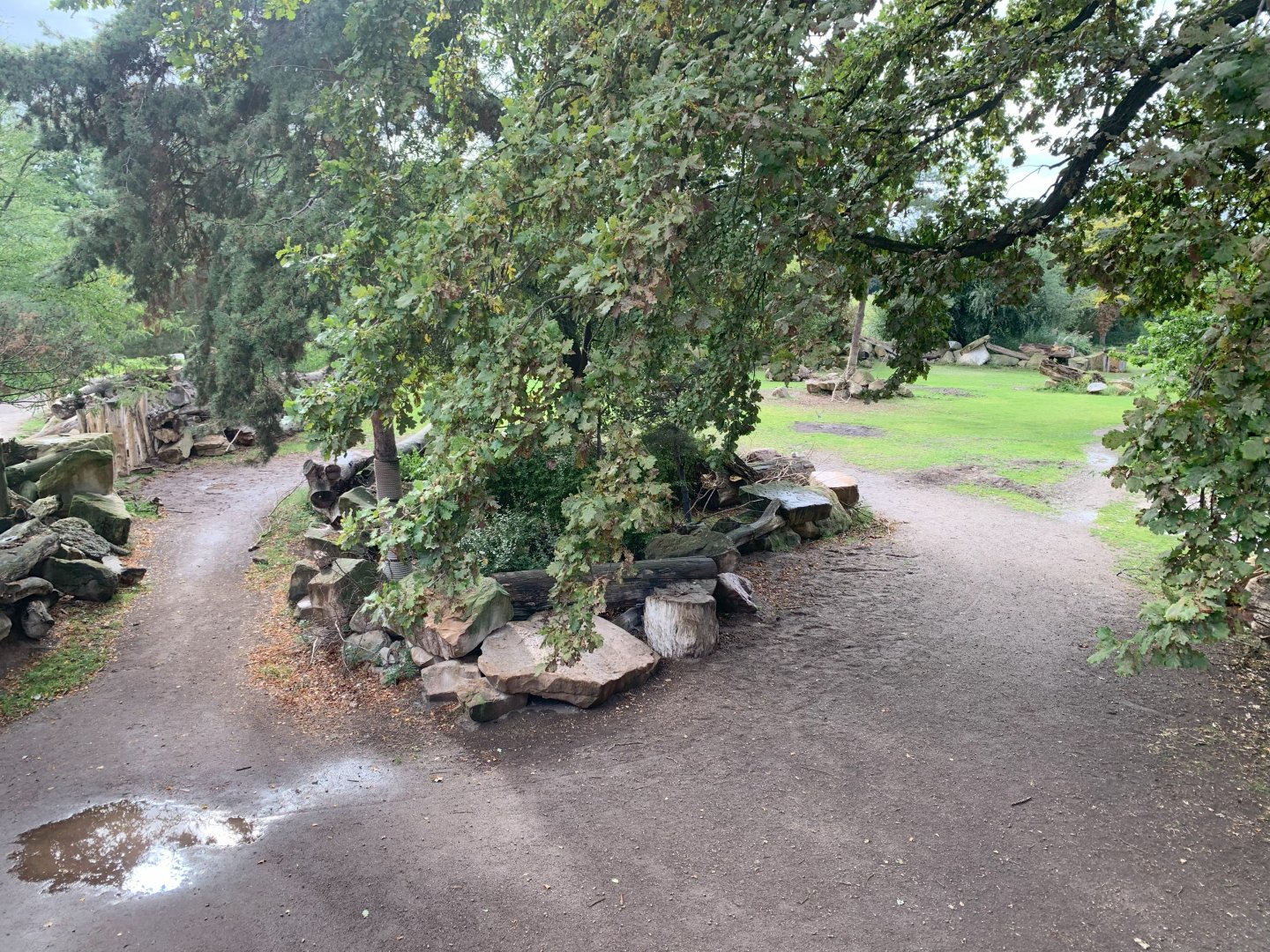 3rd Eastern Black Rhinoceros enclosure - Africa