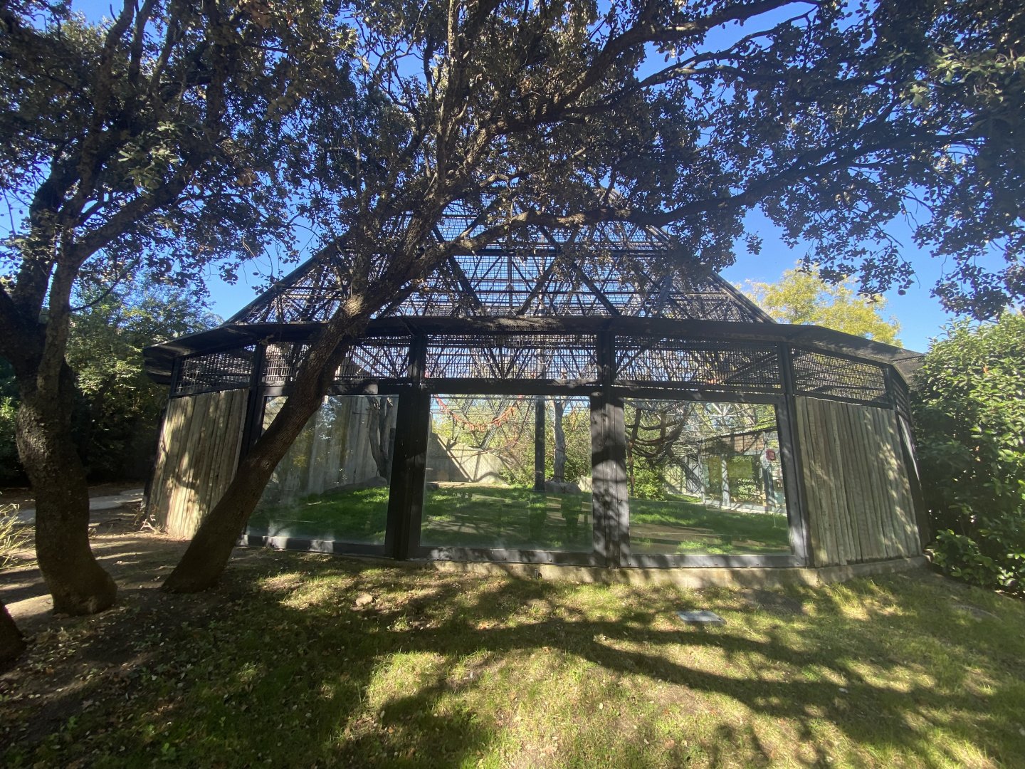 3rd view of chimpanzee enclosure