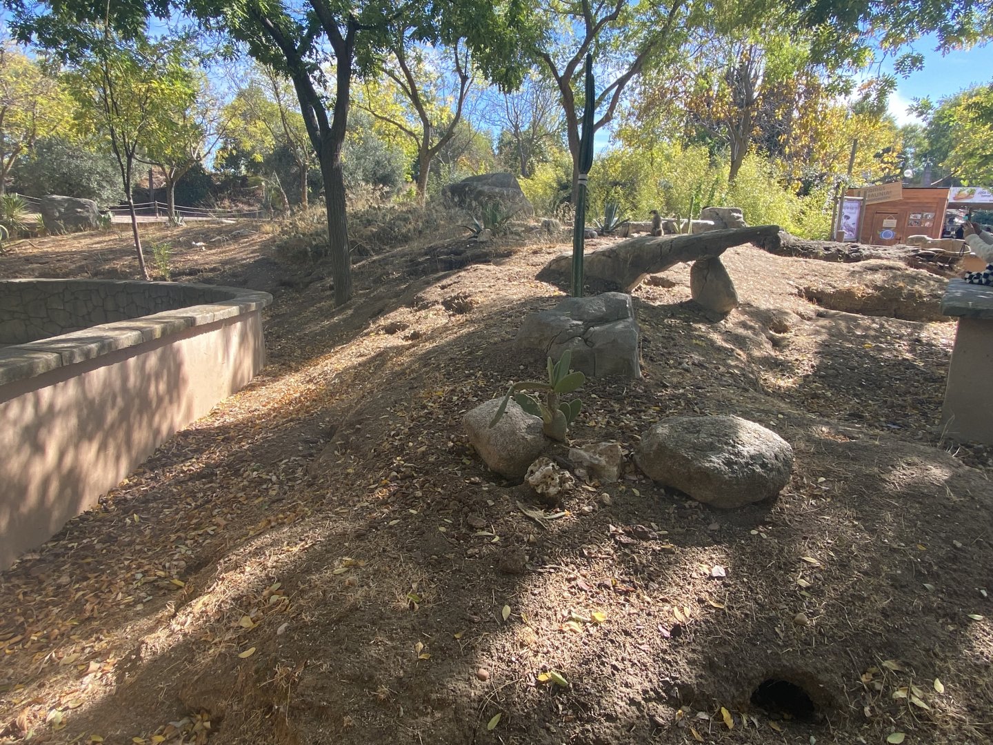 3rd view of meerkat enclosure