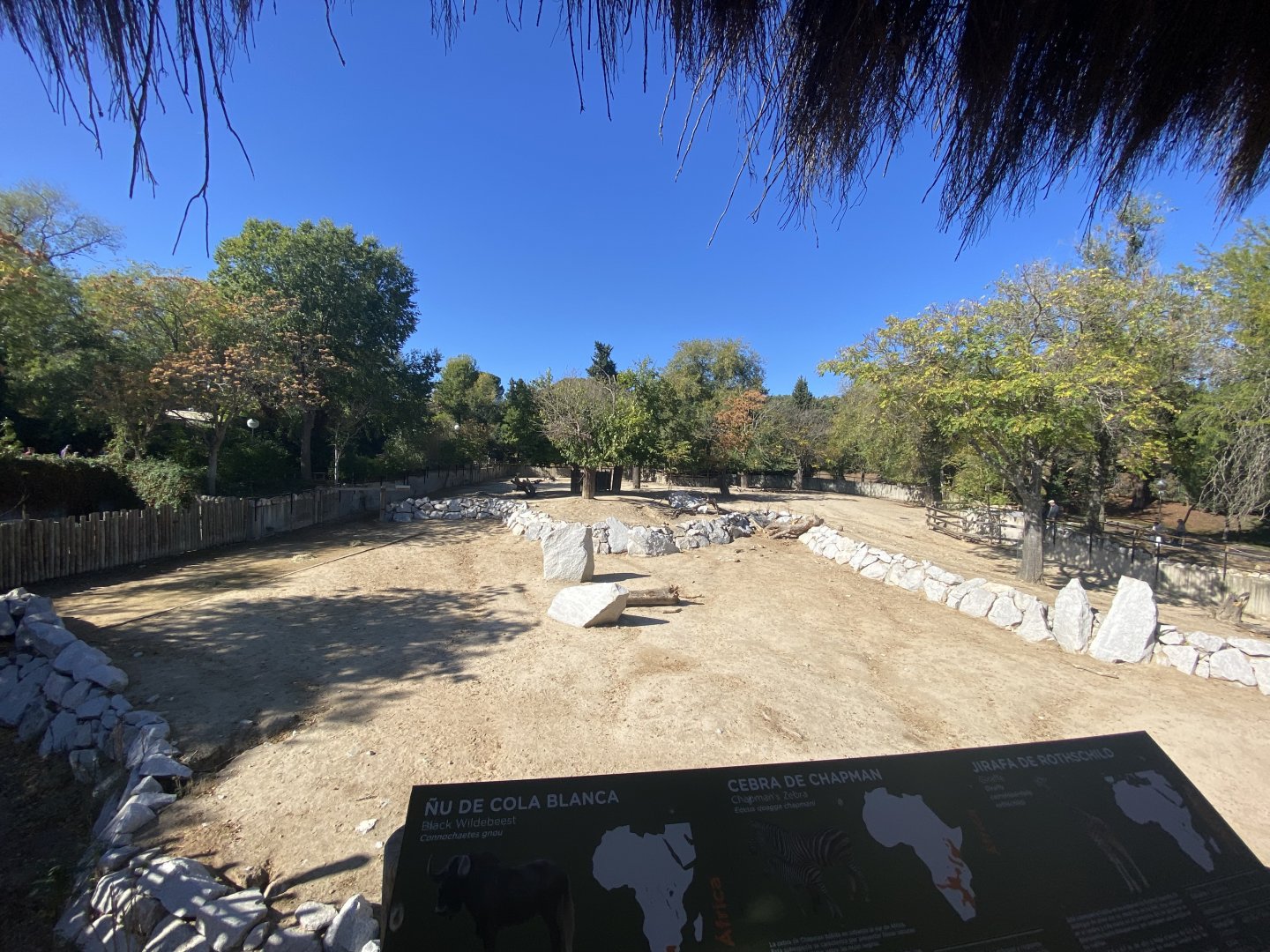 3rd view of mixed African enclosure