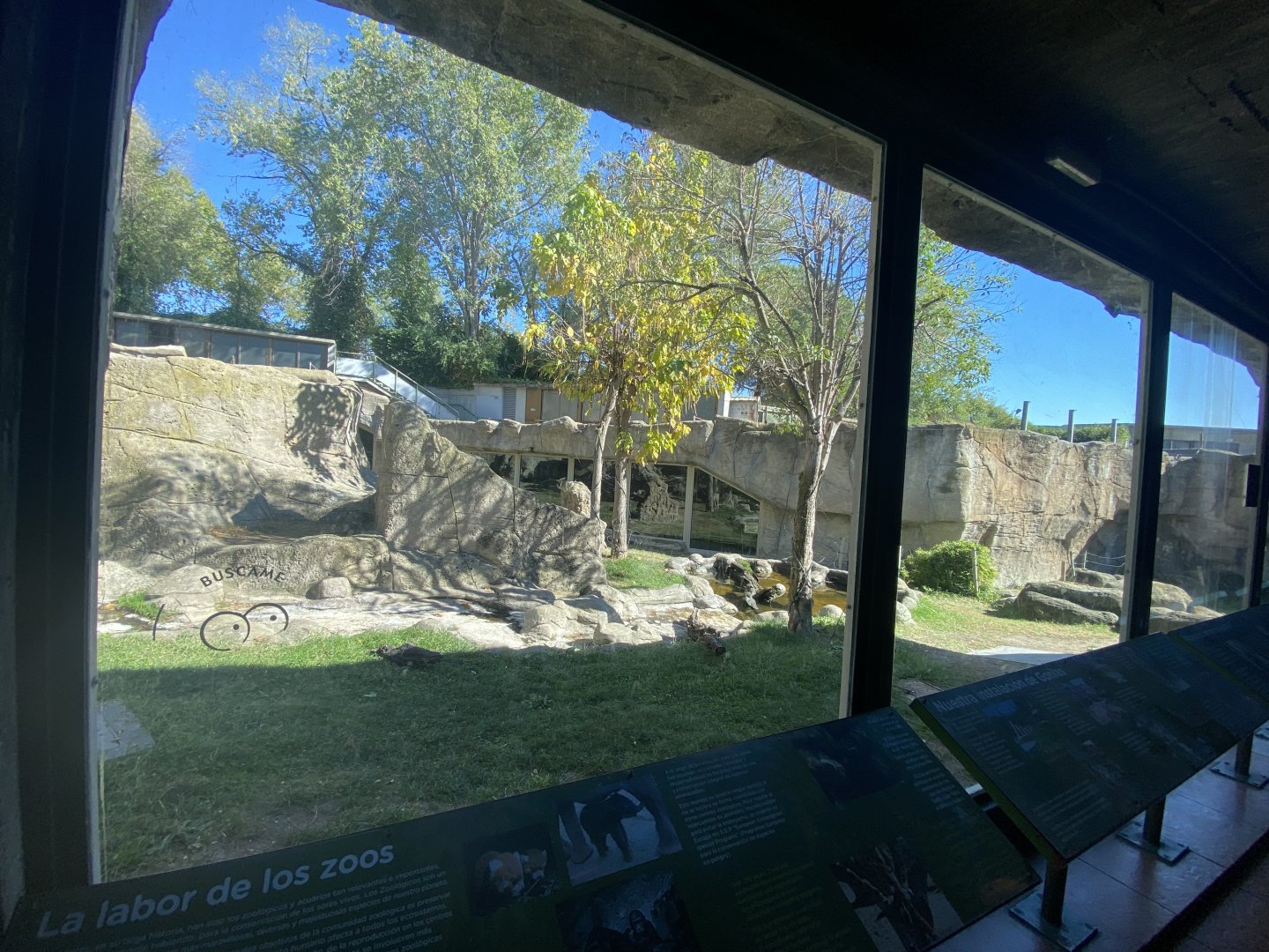 3rd view of outdoor Western Lowland gorilla enclosure