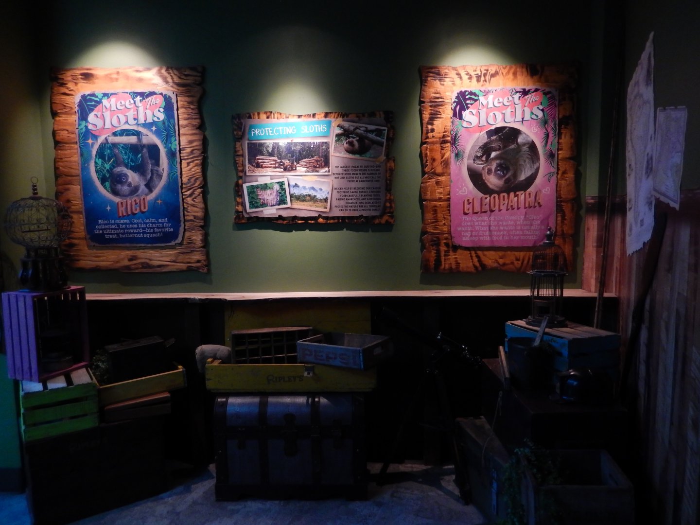 4/1/2025 - Meet the Sloths!