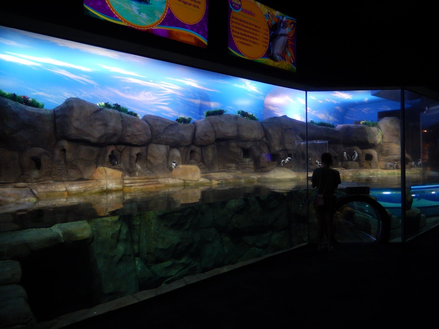 4/1/2025 - Penguin Playhouse General View