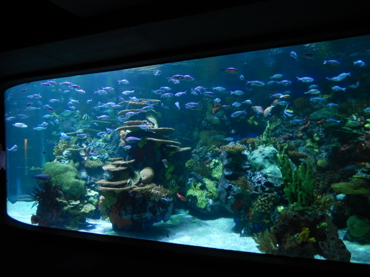 4/1/2025 - Rainbow Rock