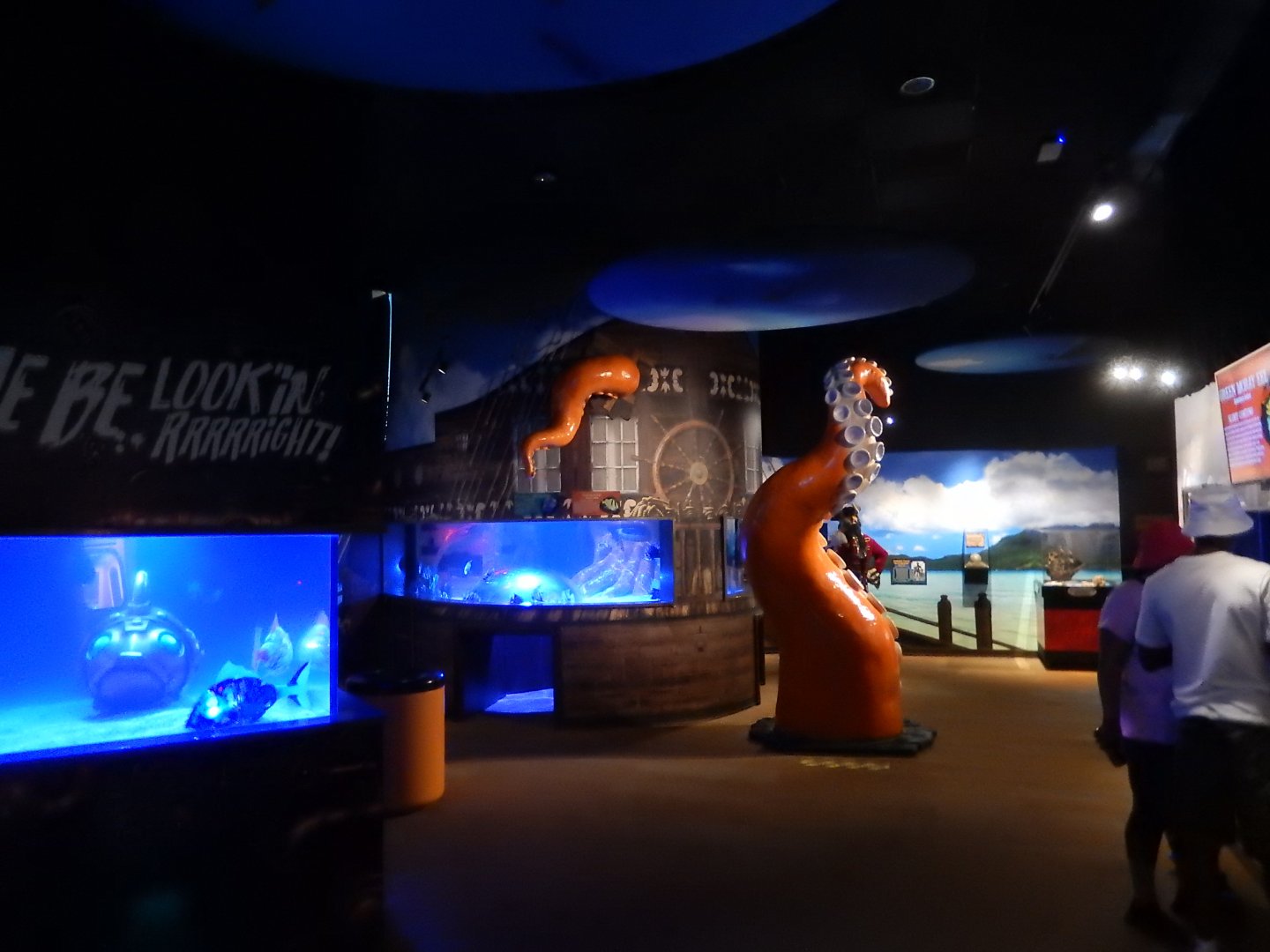 4/1/2025 - Savage Seas General View