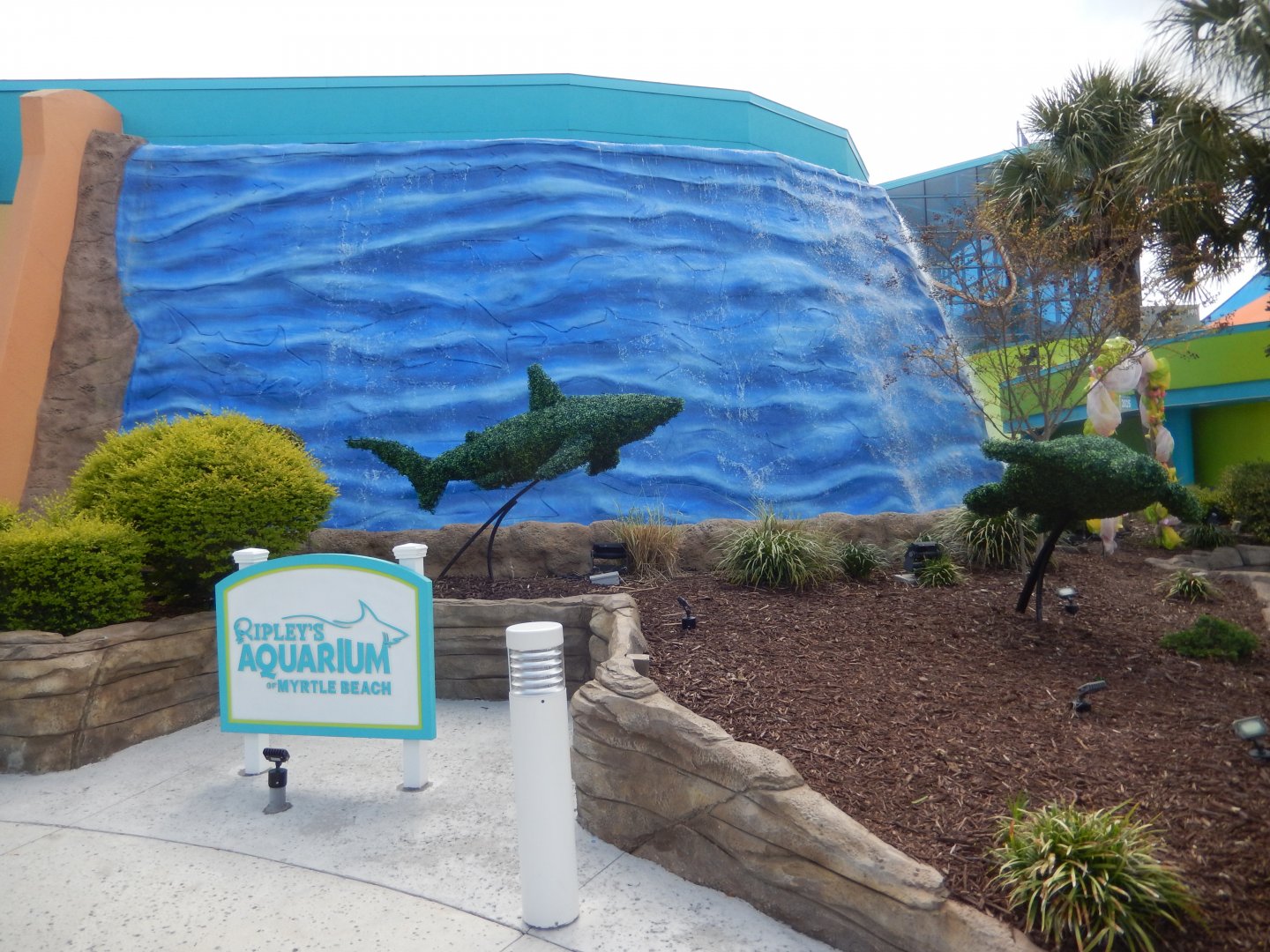 4/1/2025 - Shark Hedges