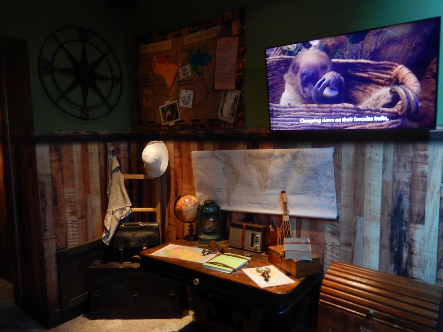 4/1/2025 - Sloth Valley Educational Display