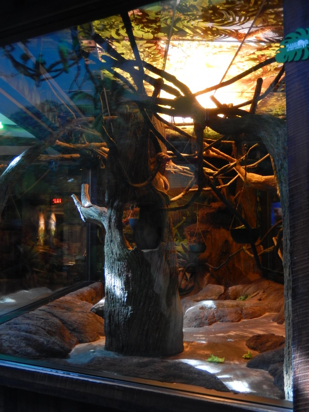 4/1/2025 - Sloth Valley