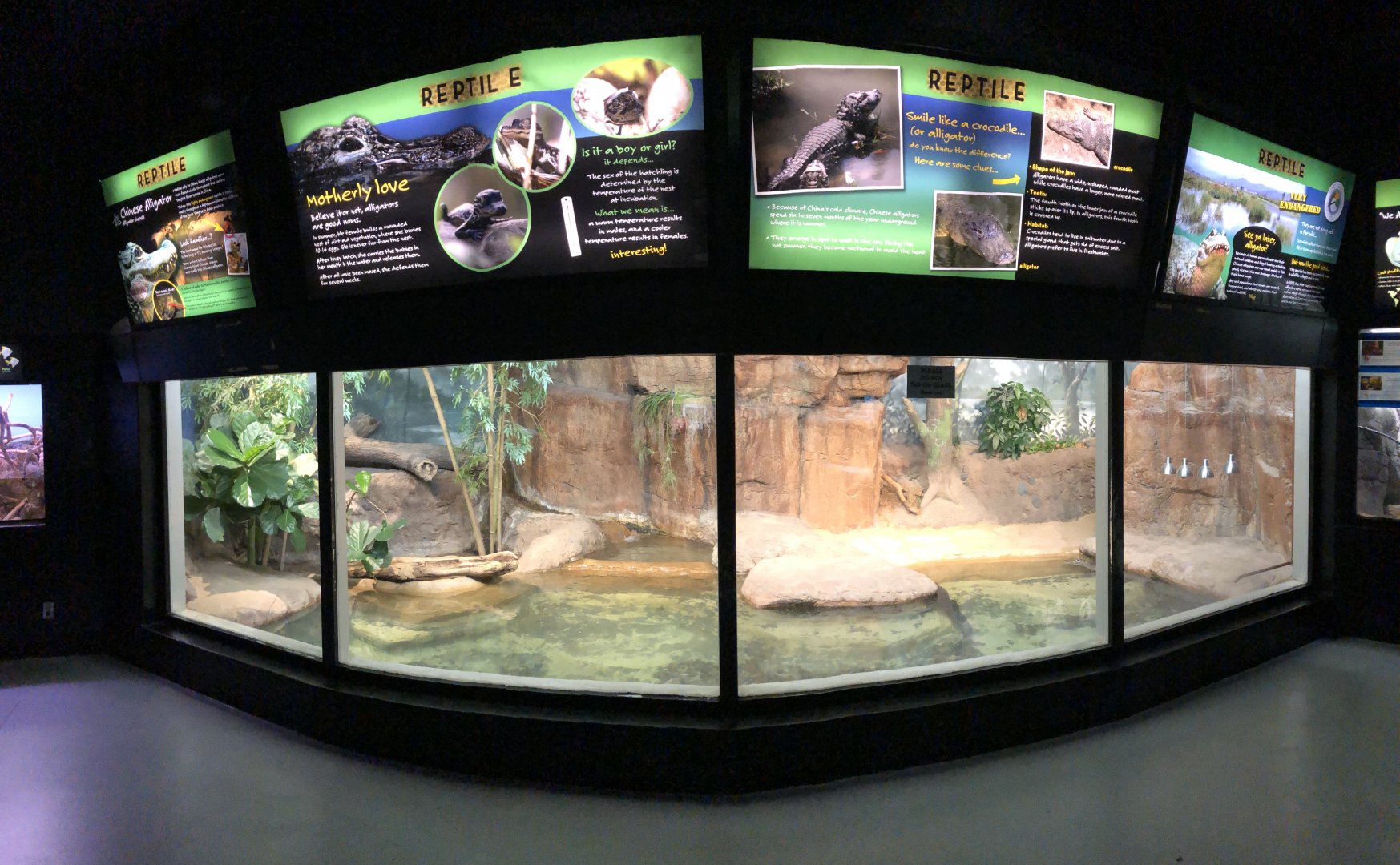 4/14/2019 - Chinese Alligator Habitat Panorama