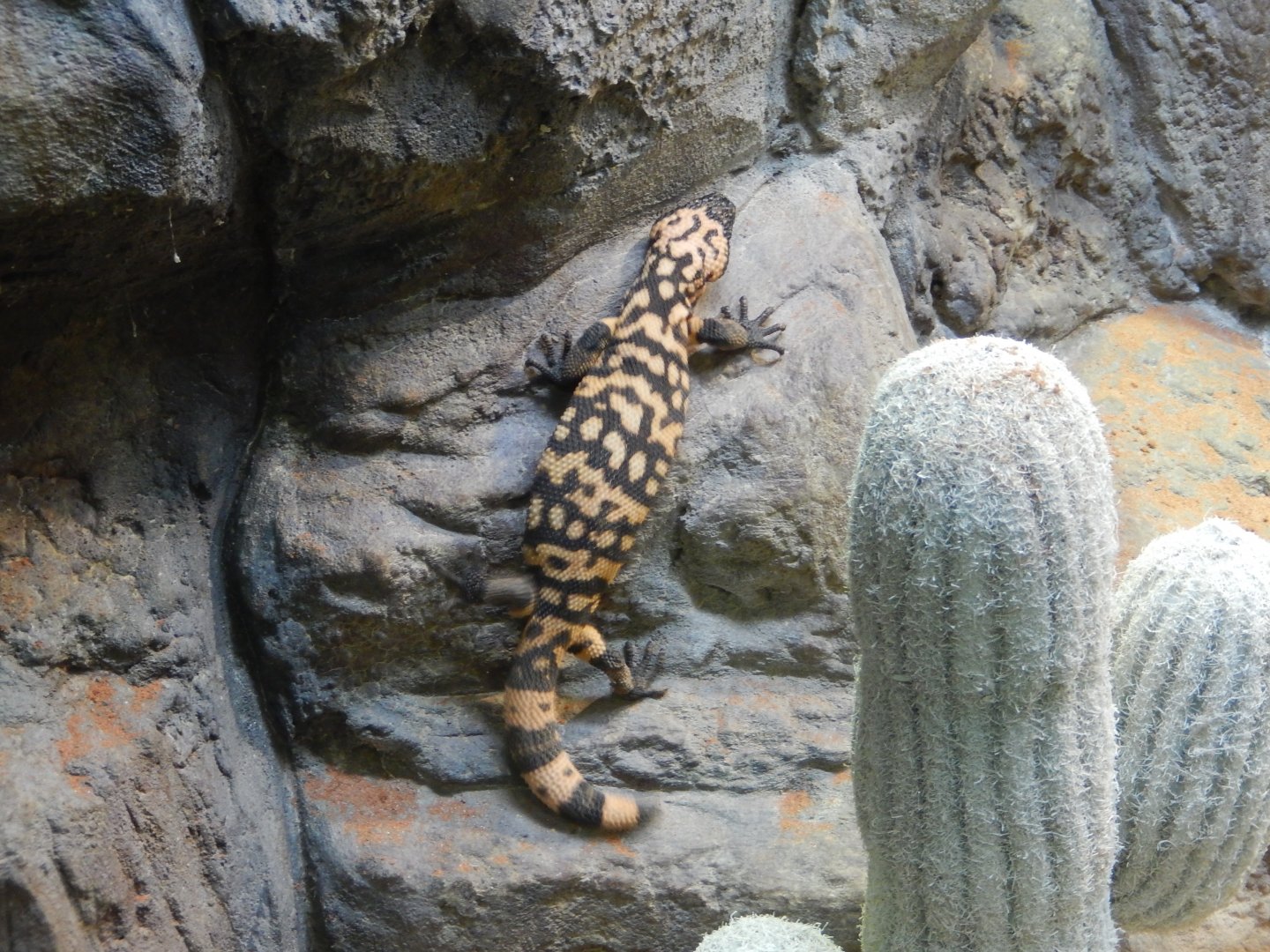 4/17/2018 - It's The Climb!