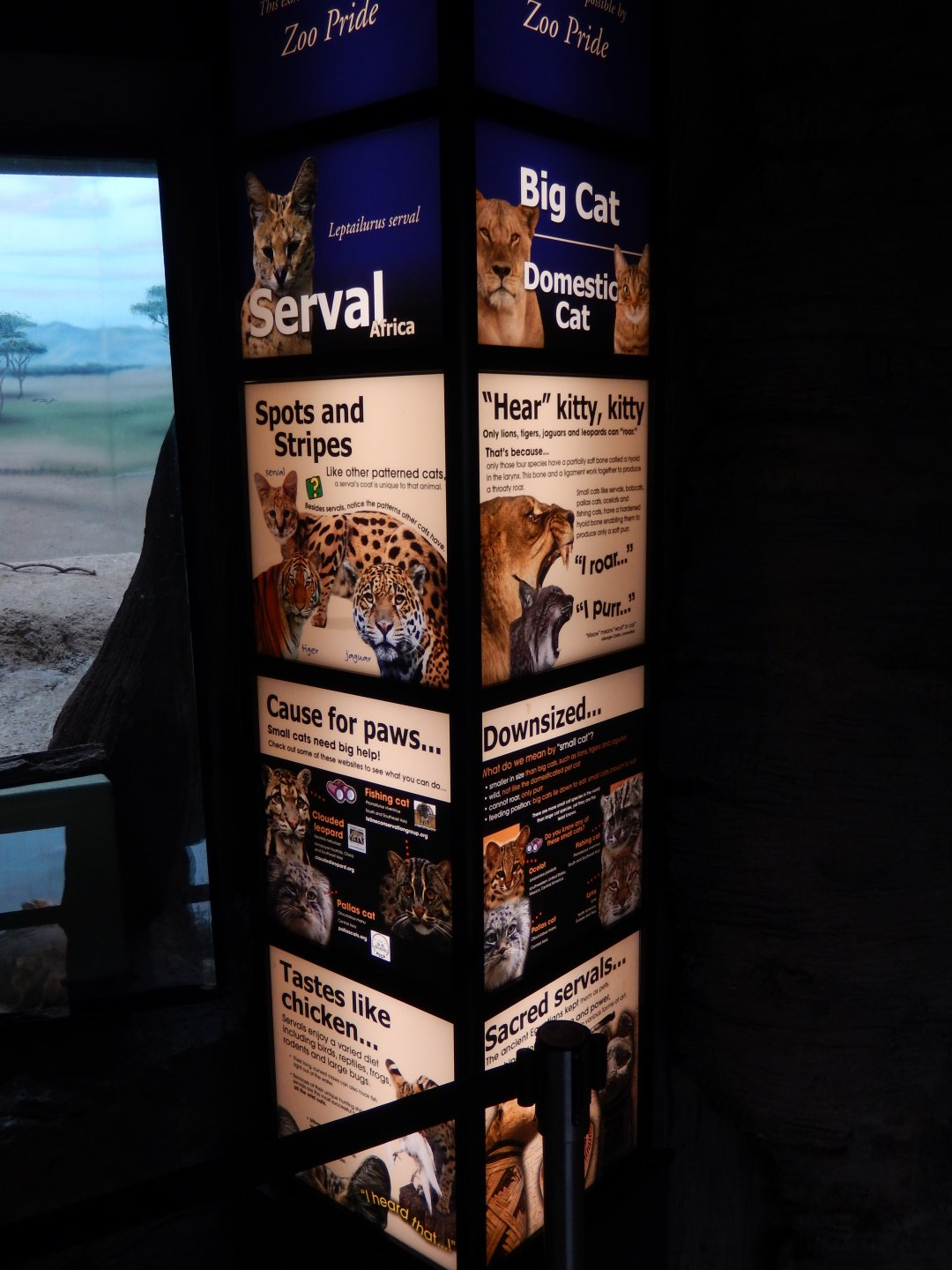 4/17/2018 - New Small & Domestic Cat Signage