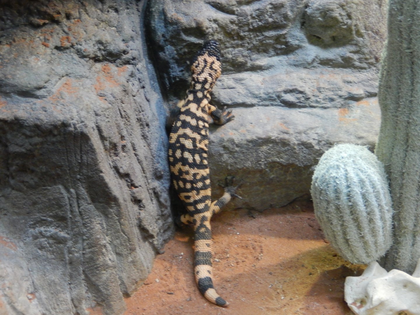 4/17/2018 - The Long Trek Begins...