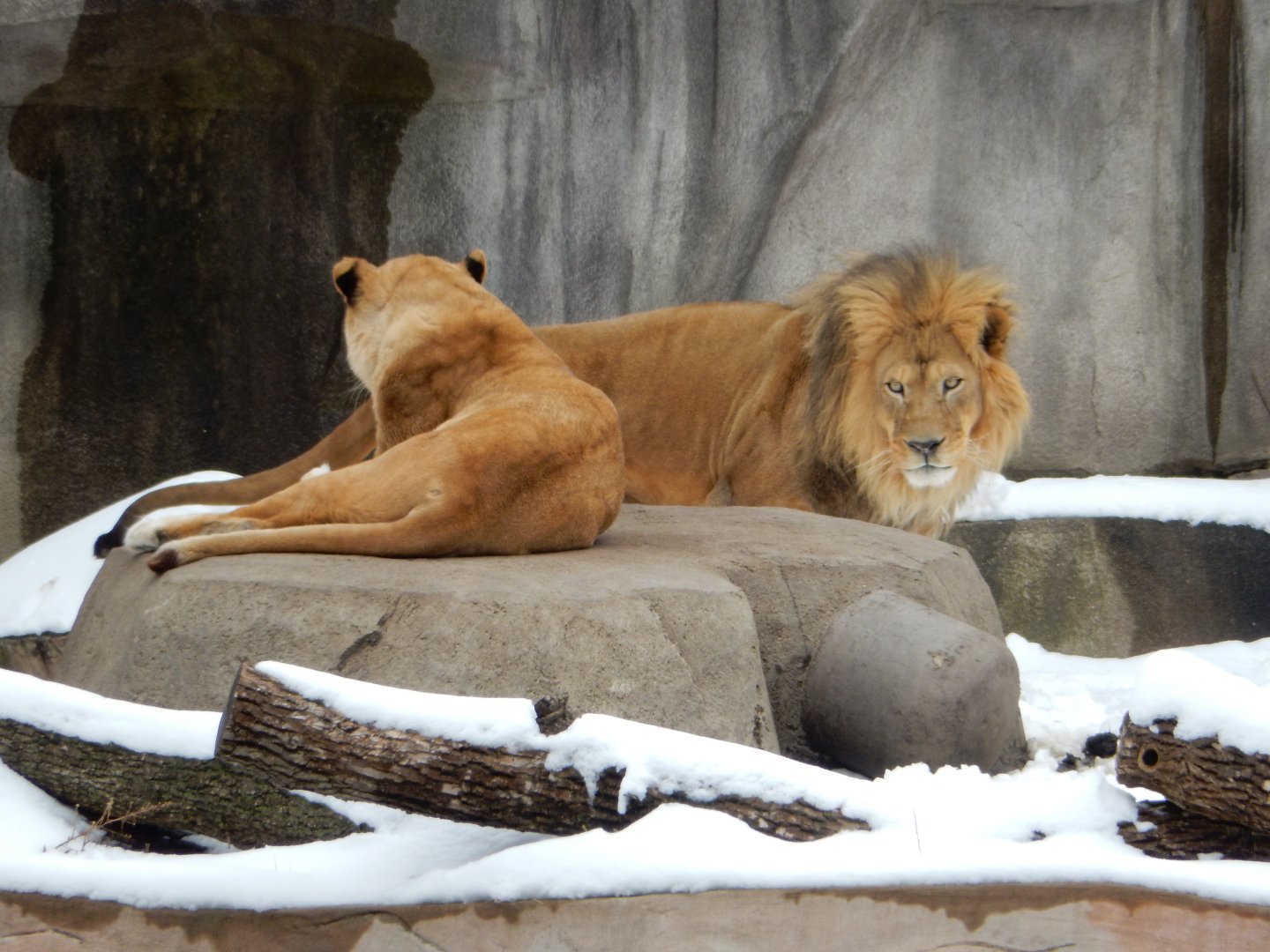 4/17/2018 - Themba and Sanura