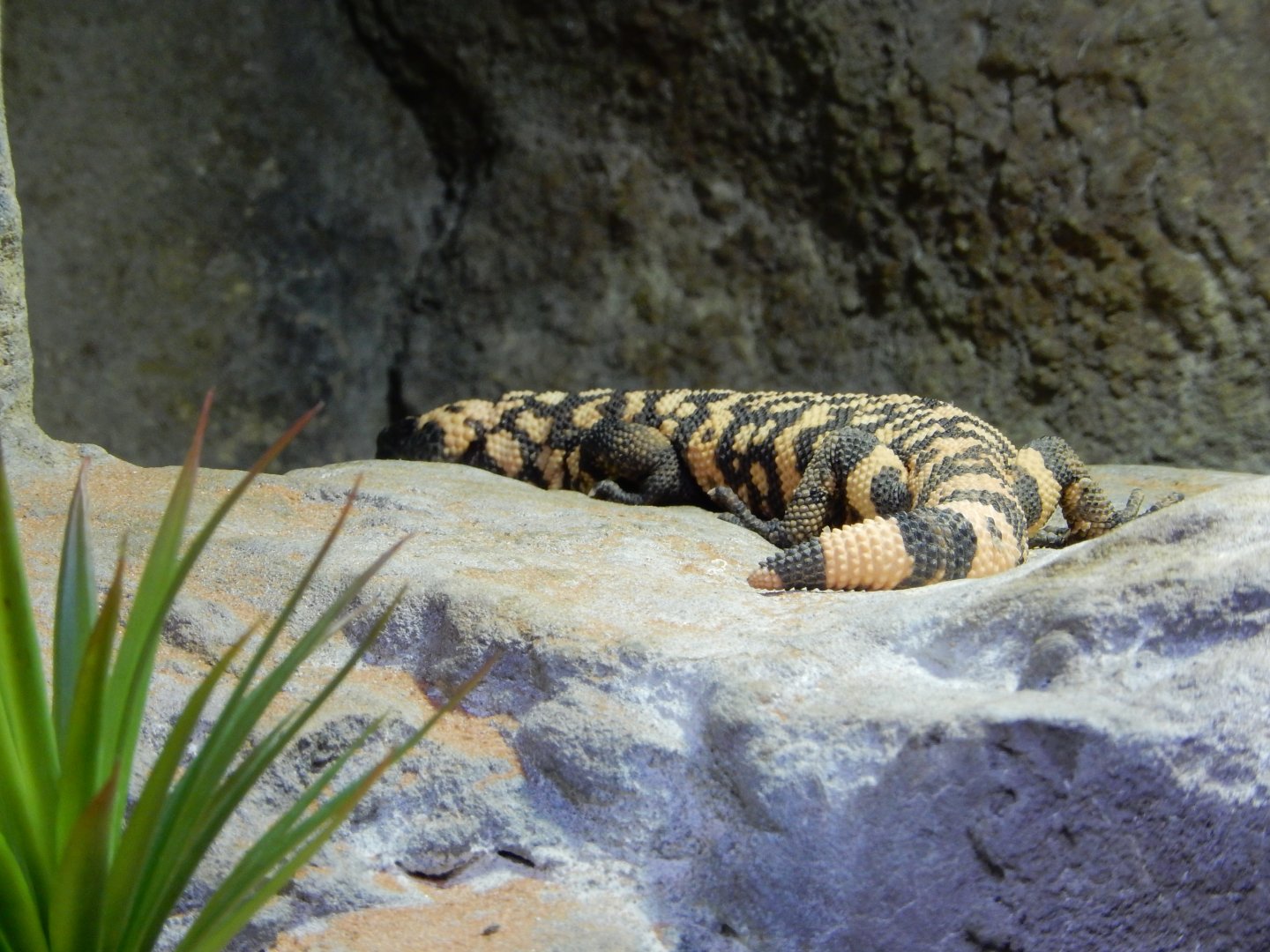 4/17/2018 - Whew, Made It!