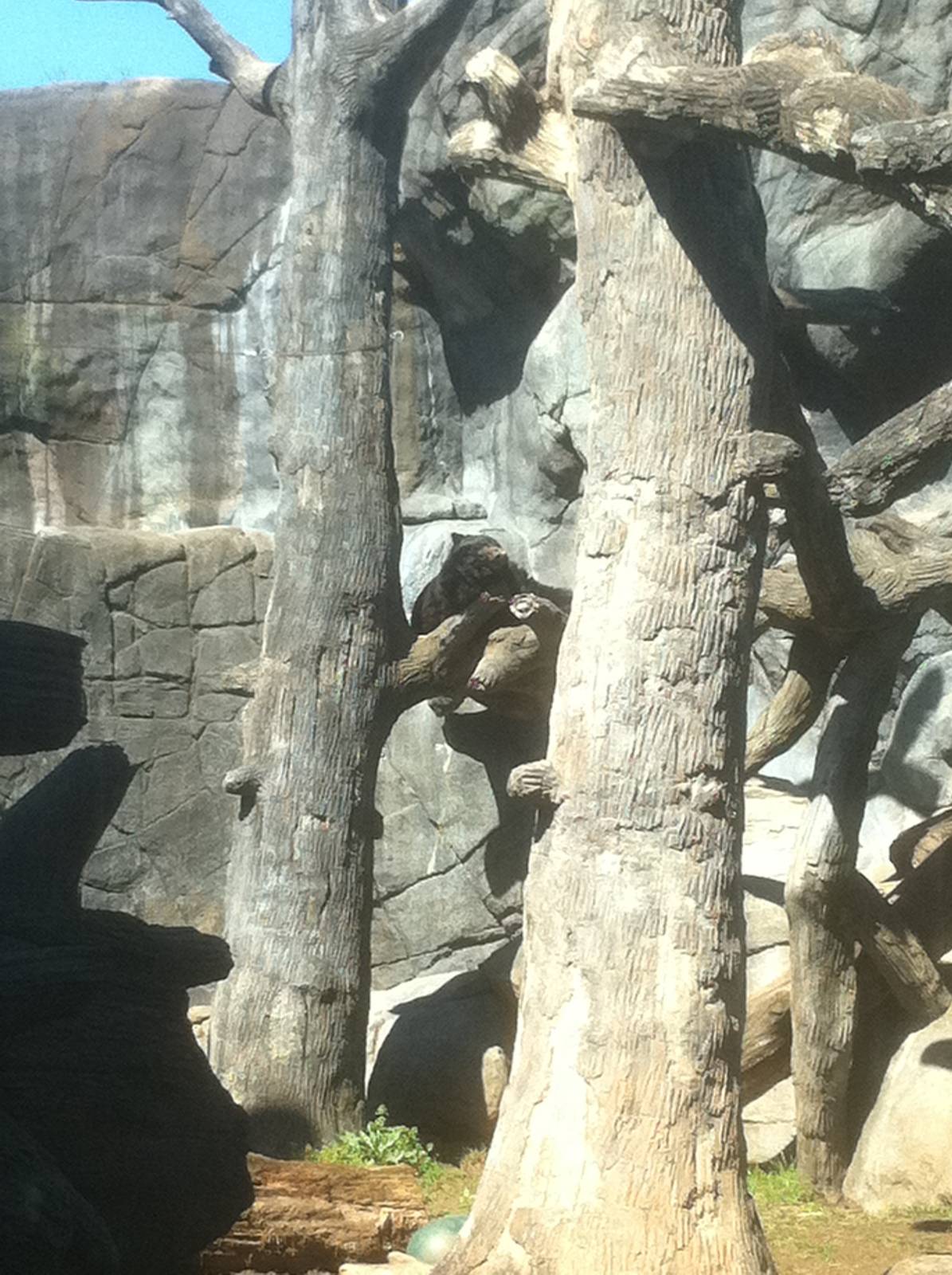 4/2/2013 - Black Bear Falls