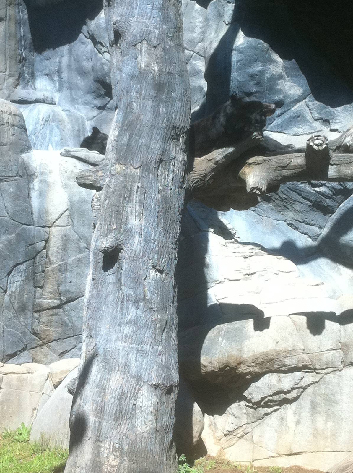 4/2/2013 - Black Bear Falls