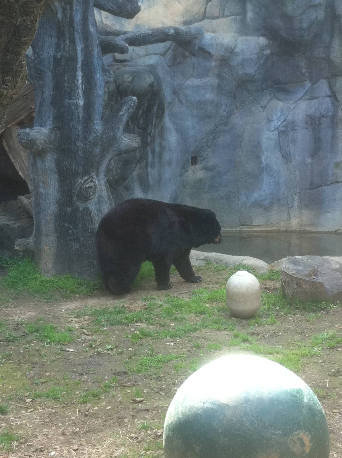 4/2/2013 - Black Bear Falls