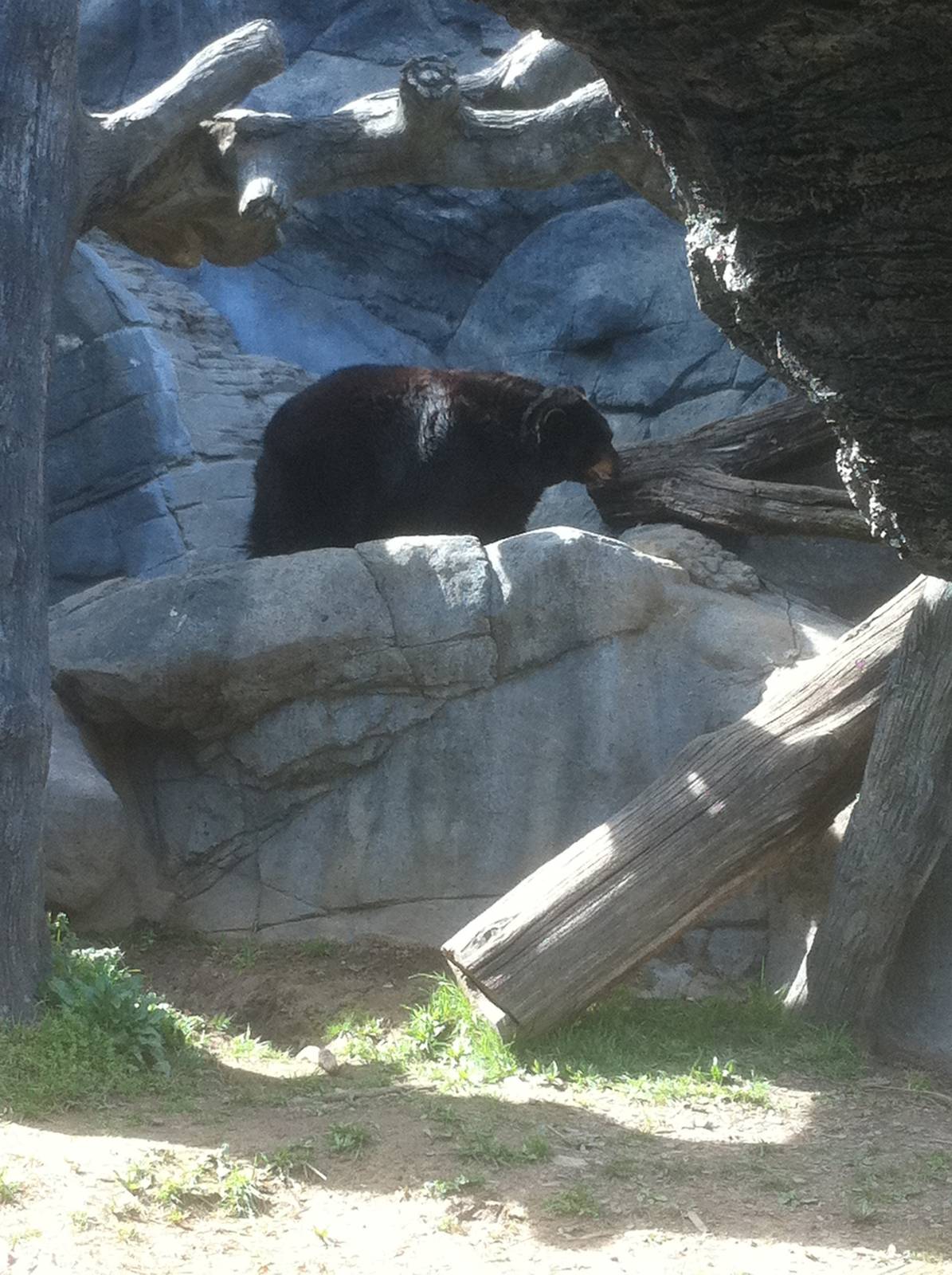 4/2/2013 - Black Bear Falls