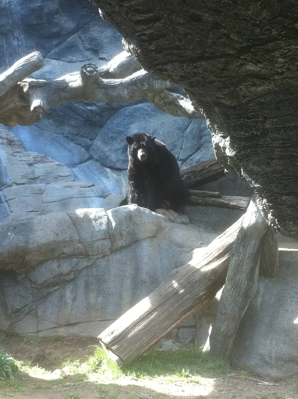 4/2/2013 - Black Bear Falls