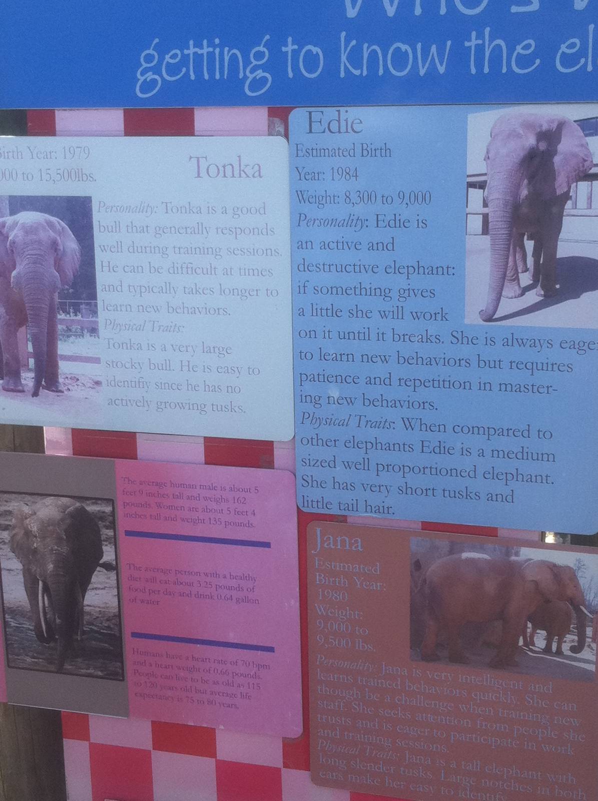 4/2/2013 - Elephant Herd Info Sign