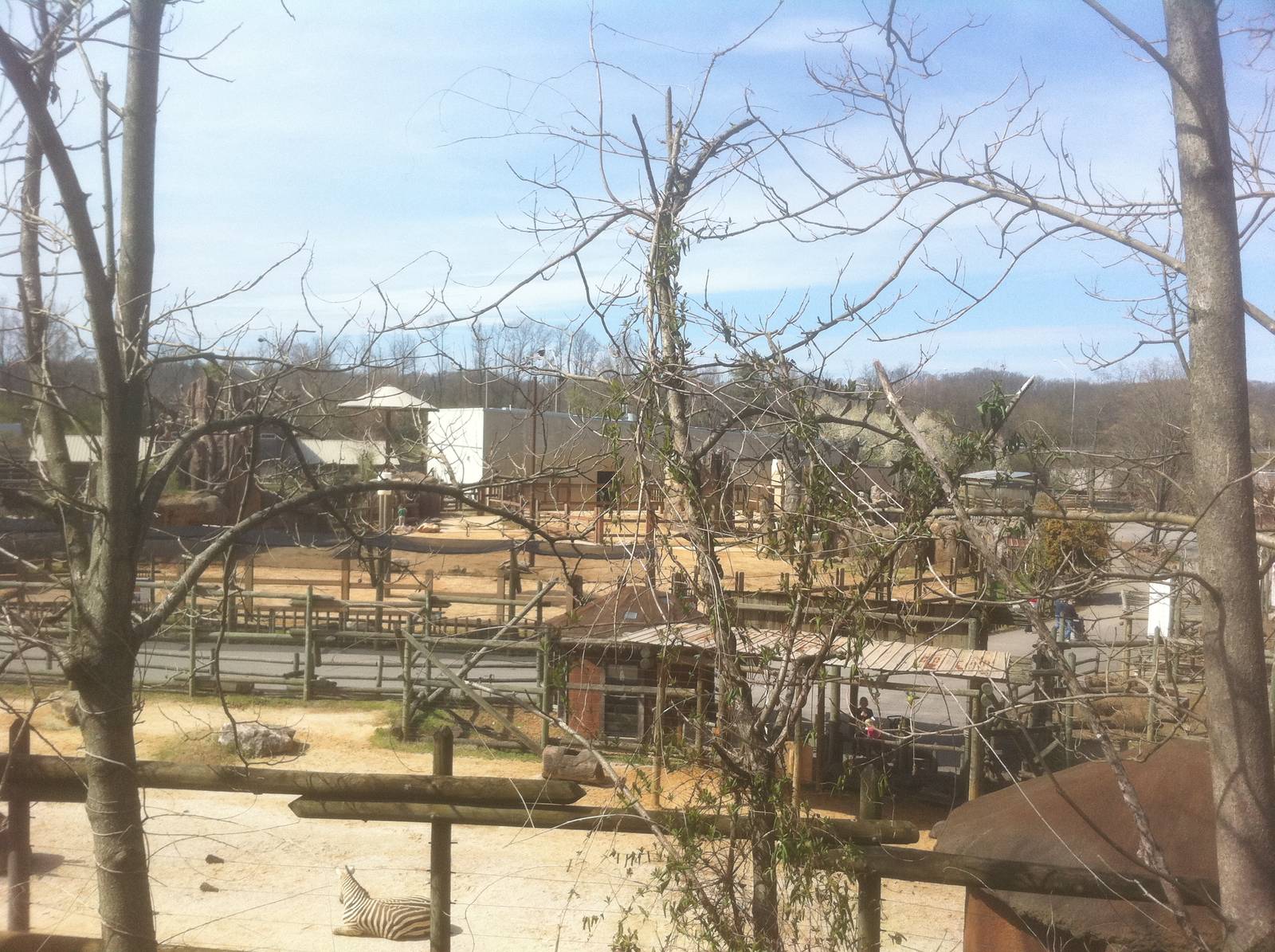 4/2/2013 - Grasslands Africa