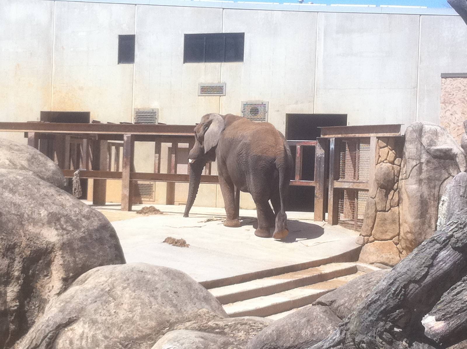4/2/2013 - Stokely African Elephant Preserve - Exhibit 1