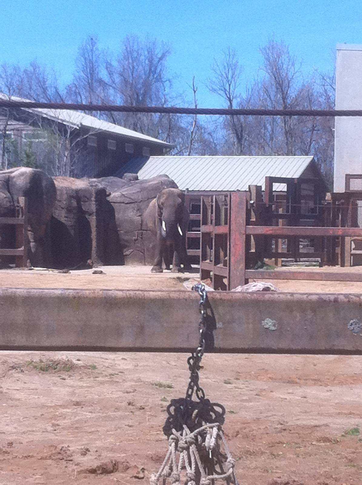 4/2/2013 - Stokely African Elephant Preserve - Exhibit 2